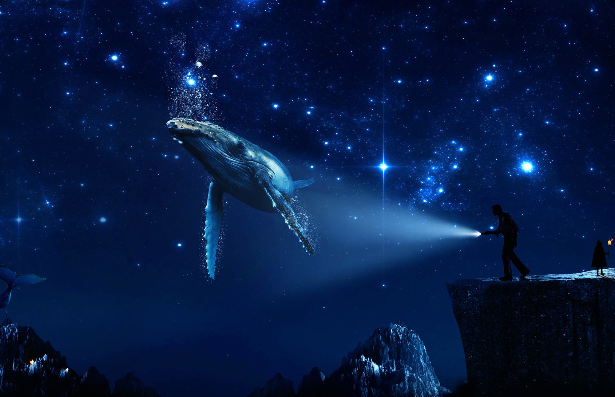 Fantasy Whale Wallpapers