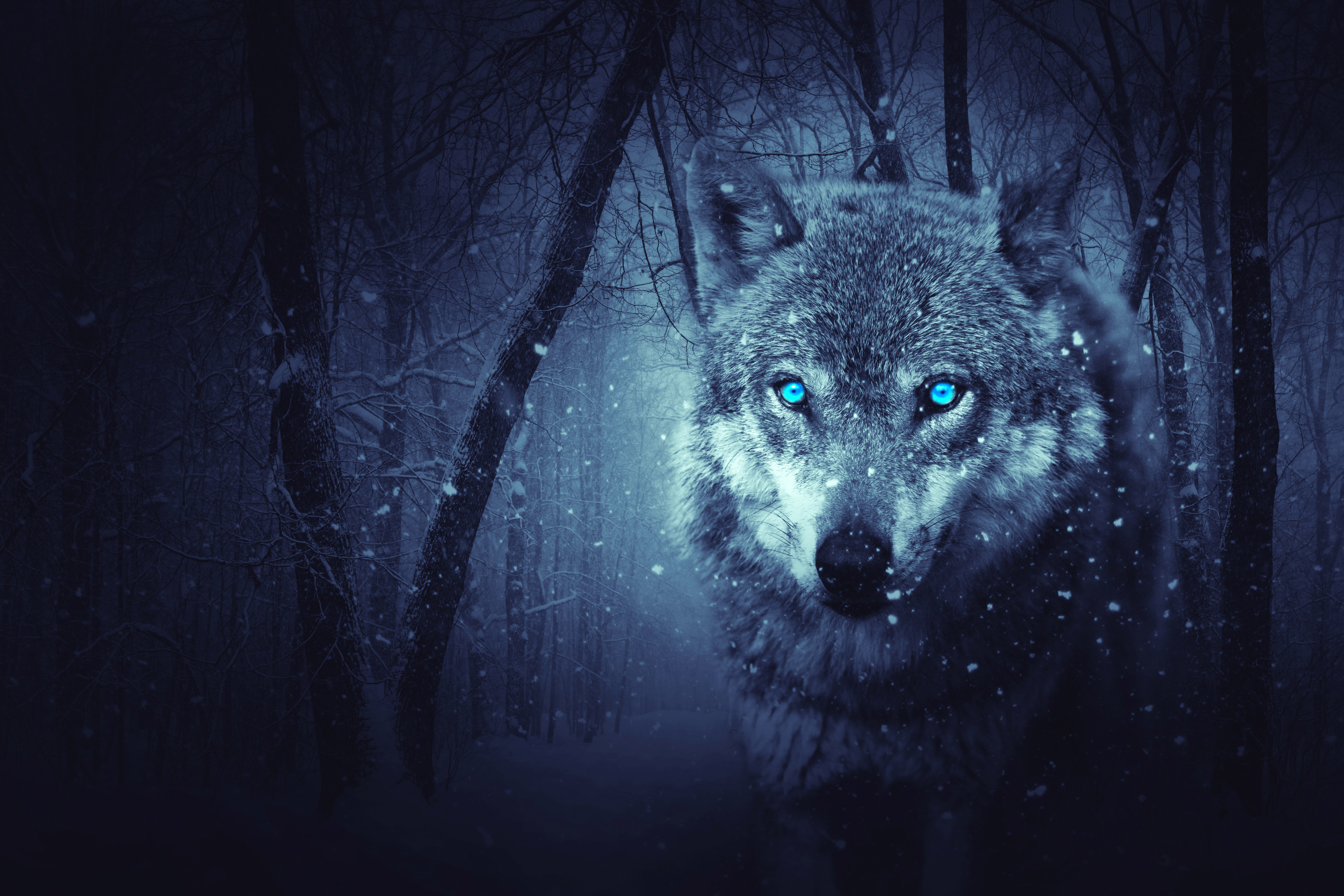 Fantasy Wolf Wallpapers