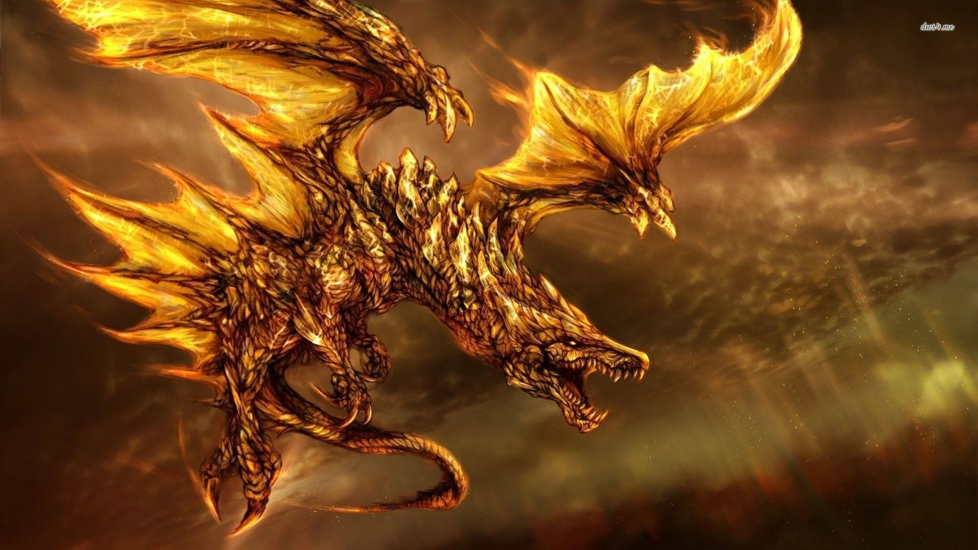 Firey Dragon
 Wallpapers