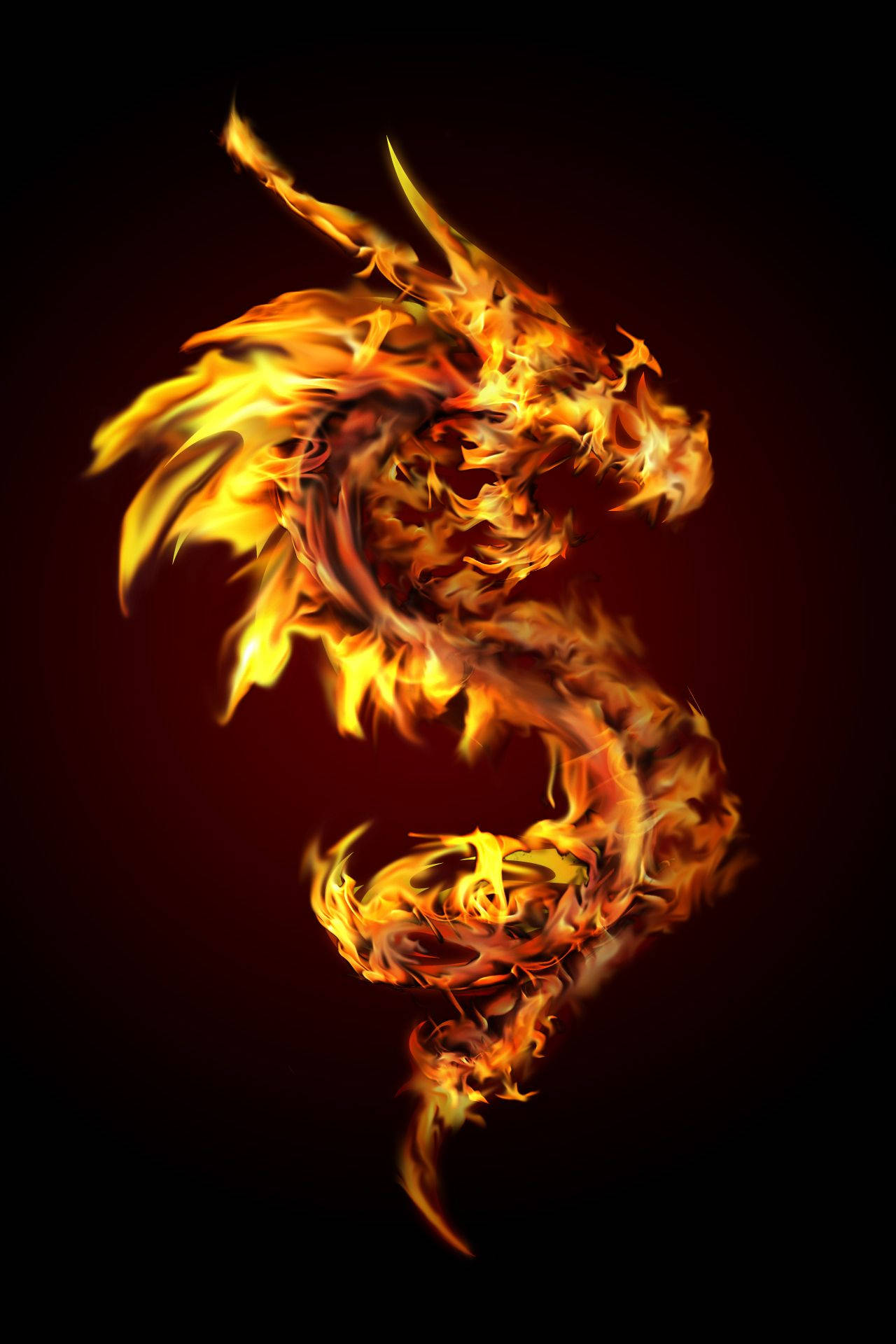 Firey Dragon
 Wallpapers