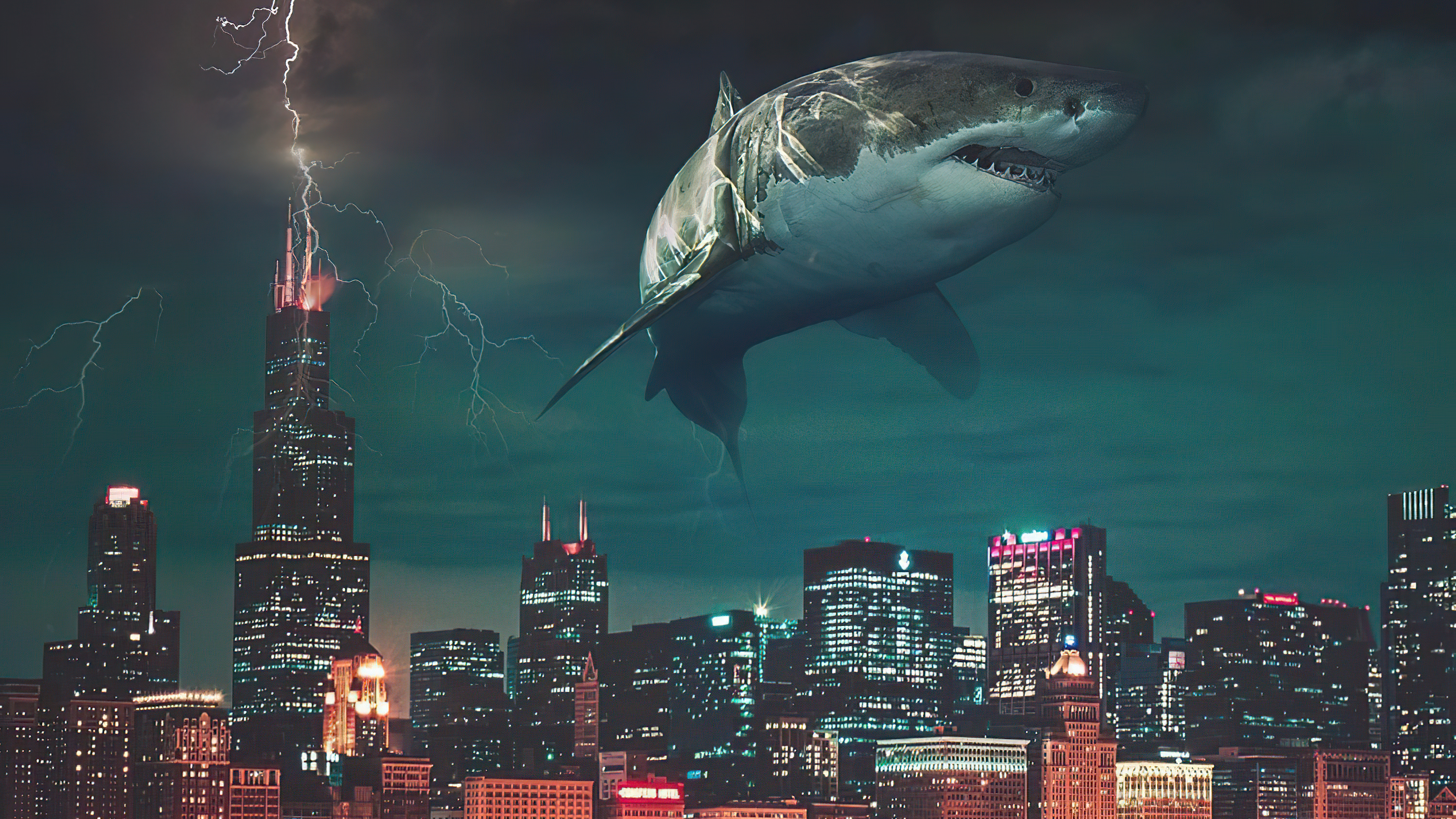 Flying Shark
 Wallpapers