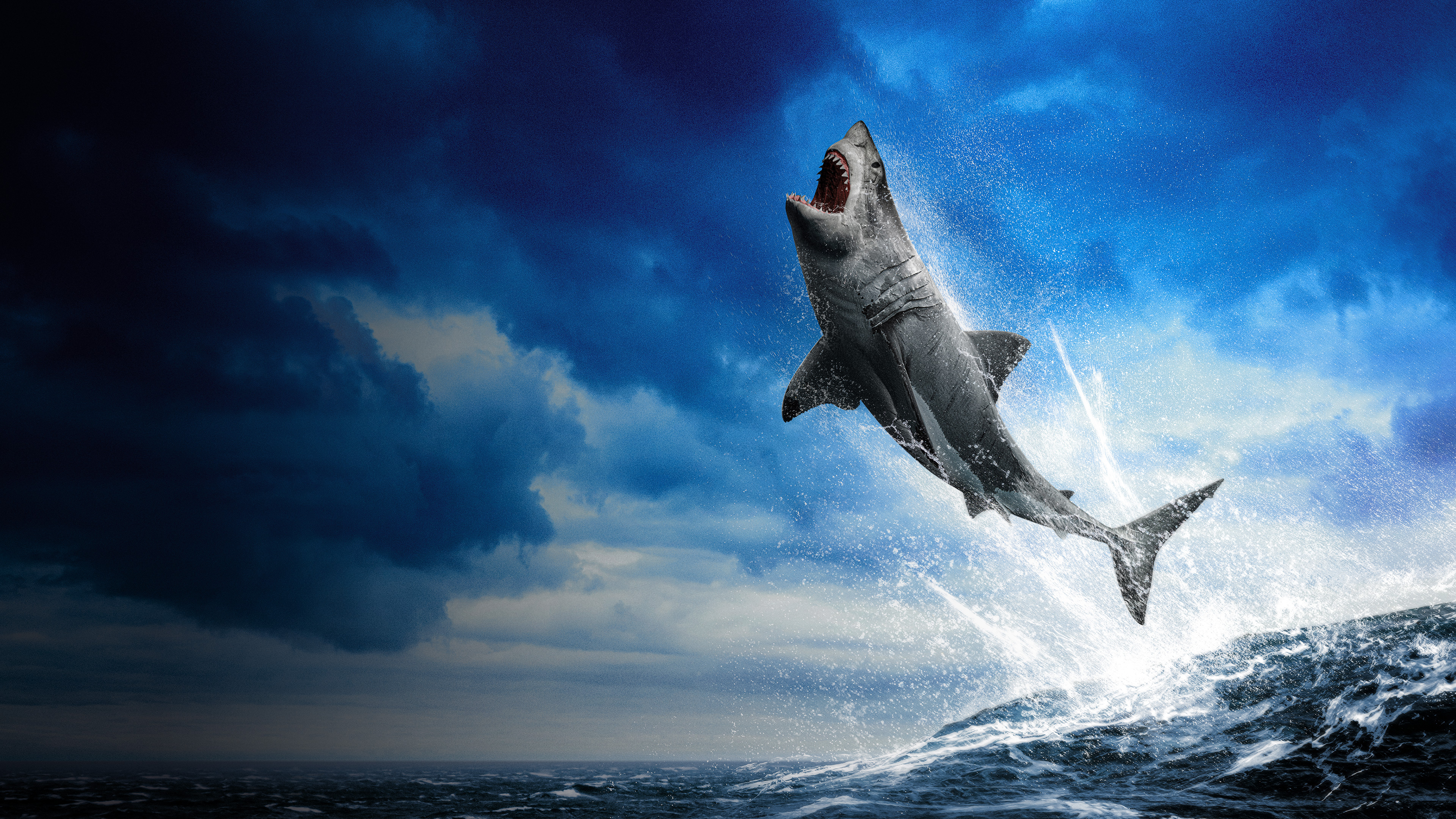 Flying Shark
 Wallpapers