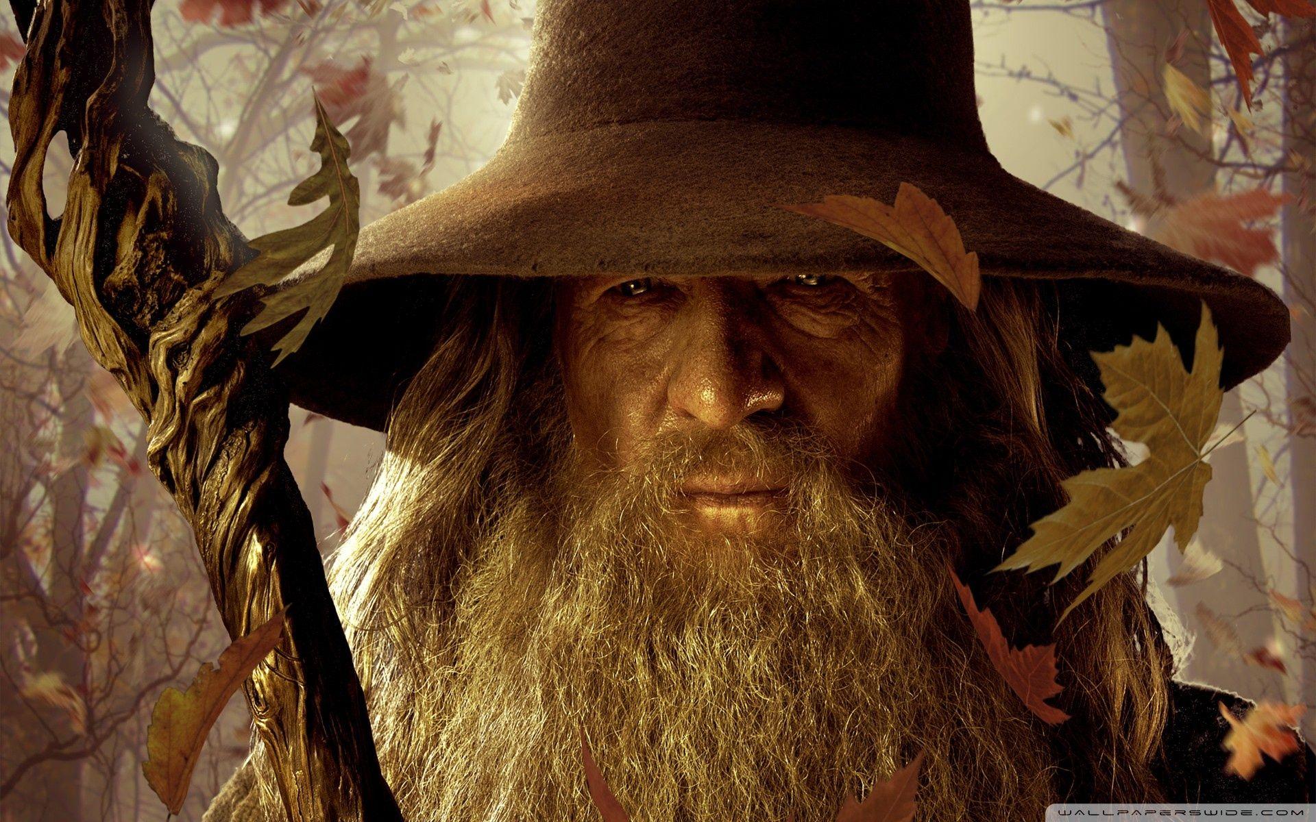 Gandalf The Lord Of The Rings Art
 Wallpapers