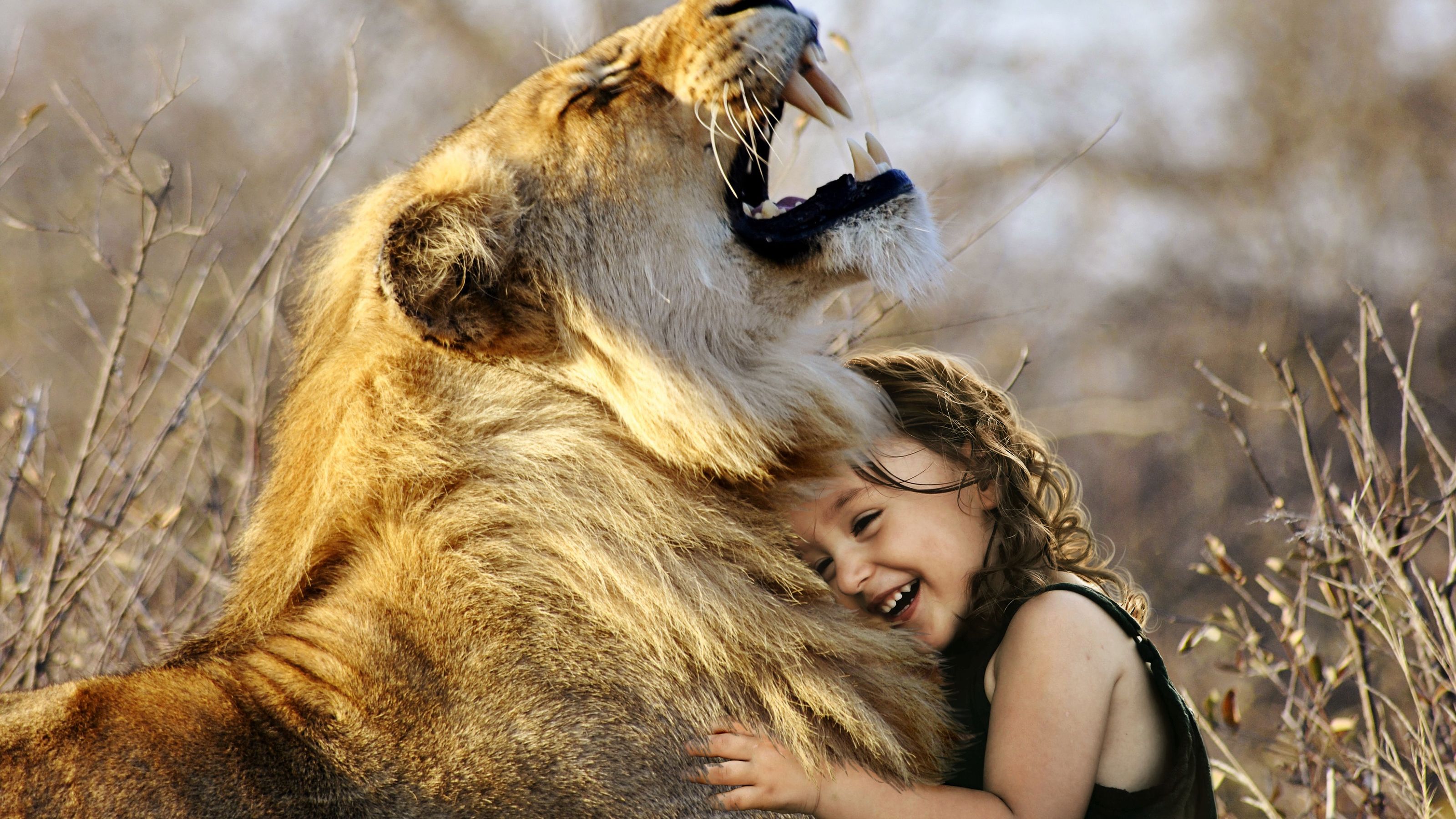 Girl Dreaming With Lion
 Wallpapers