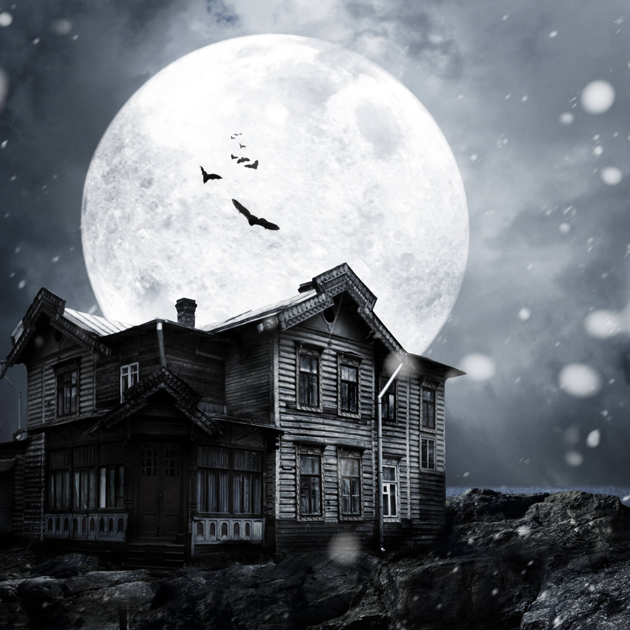 Horror House Monochrome
 Wallpapers