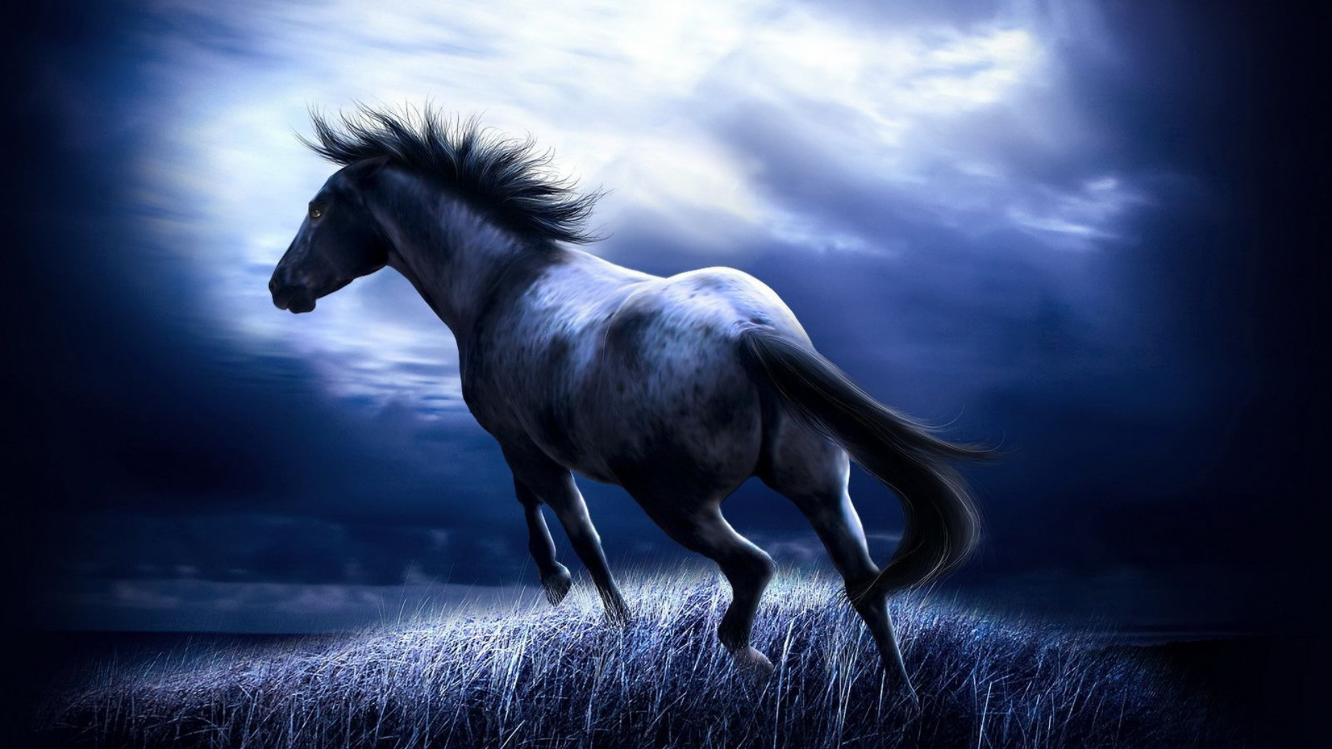 Horse Creature In Dark Fantasy
 Wallpapers