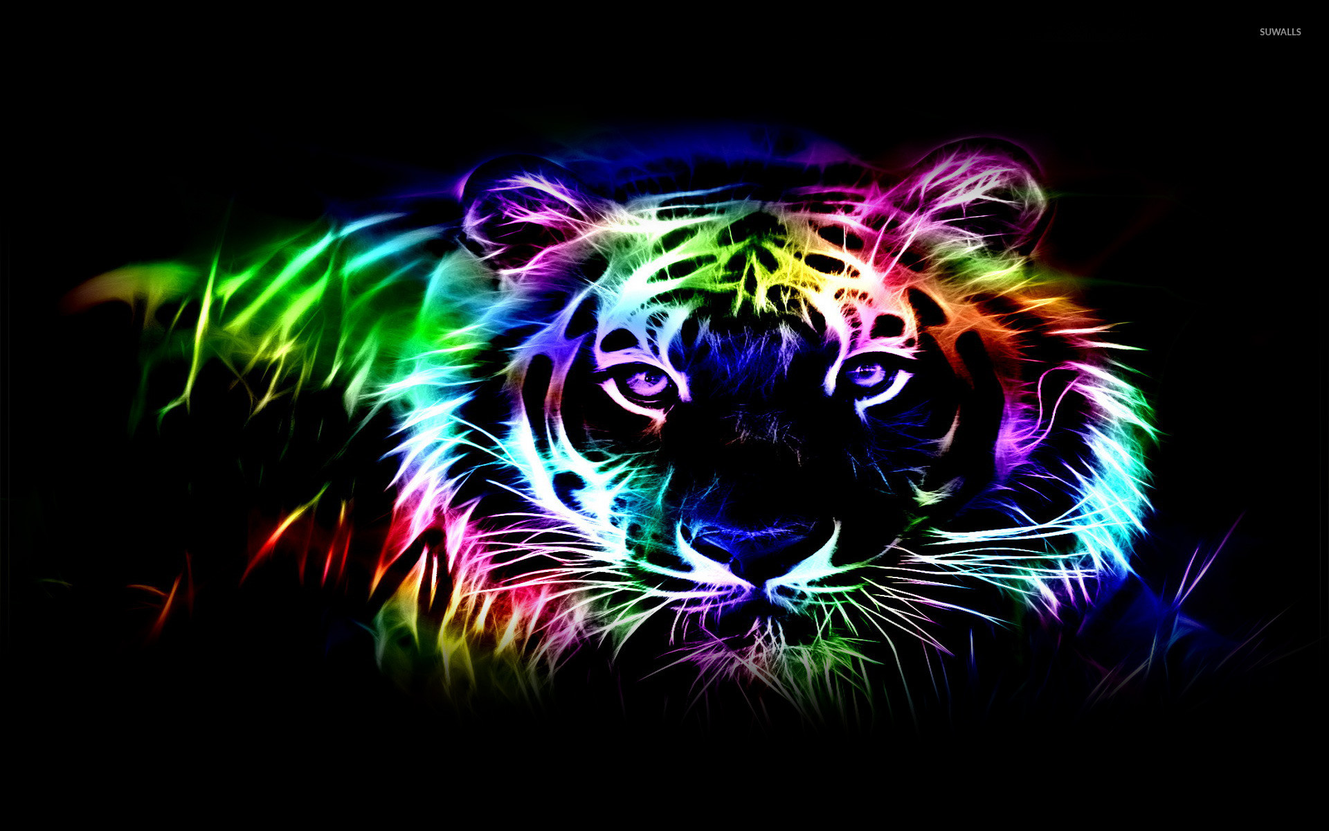 Neon Tiger
 Wallpapers