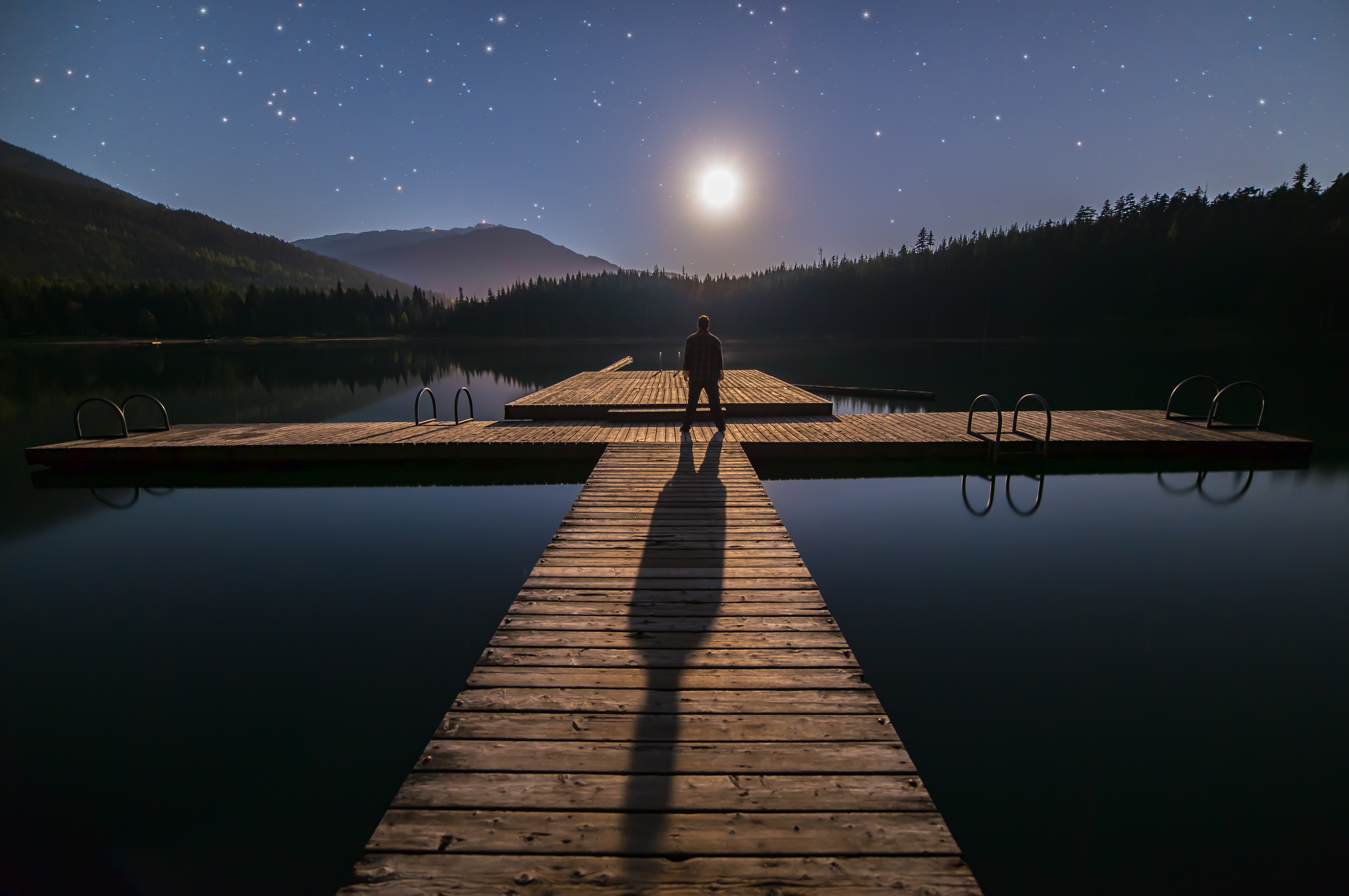 Staring At The Moon
 Wallpapers