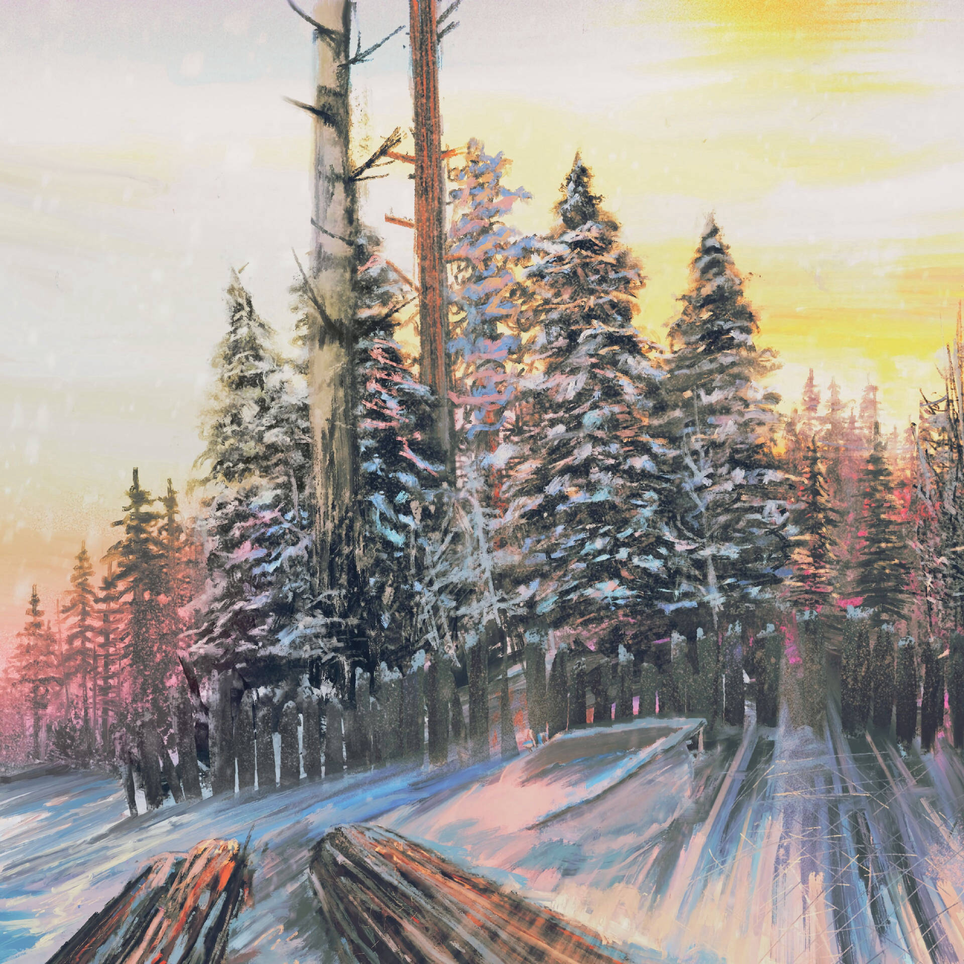 Sunset Fantasy Illustration, Light Trails Forest
 Wallpapers