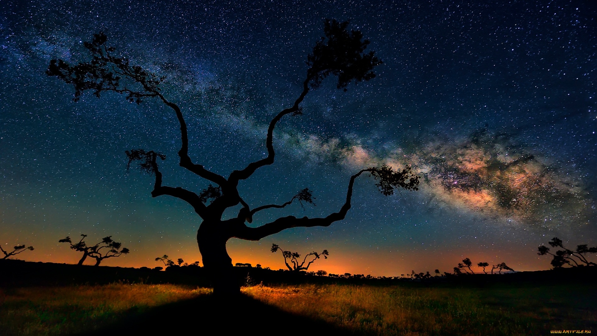 Tree Gods In Space
 Wallpapers