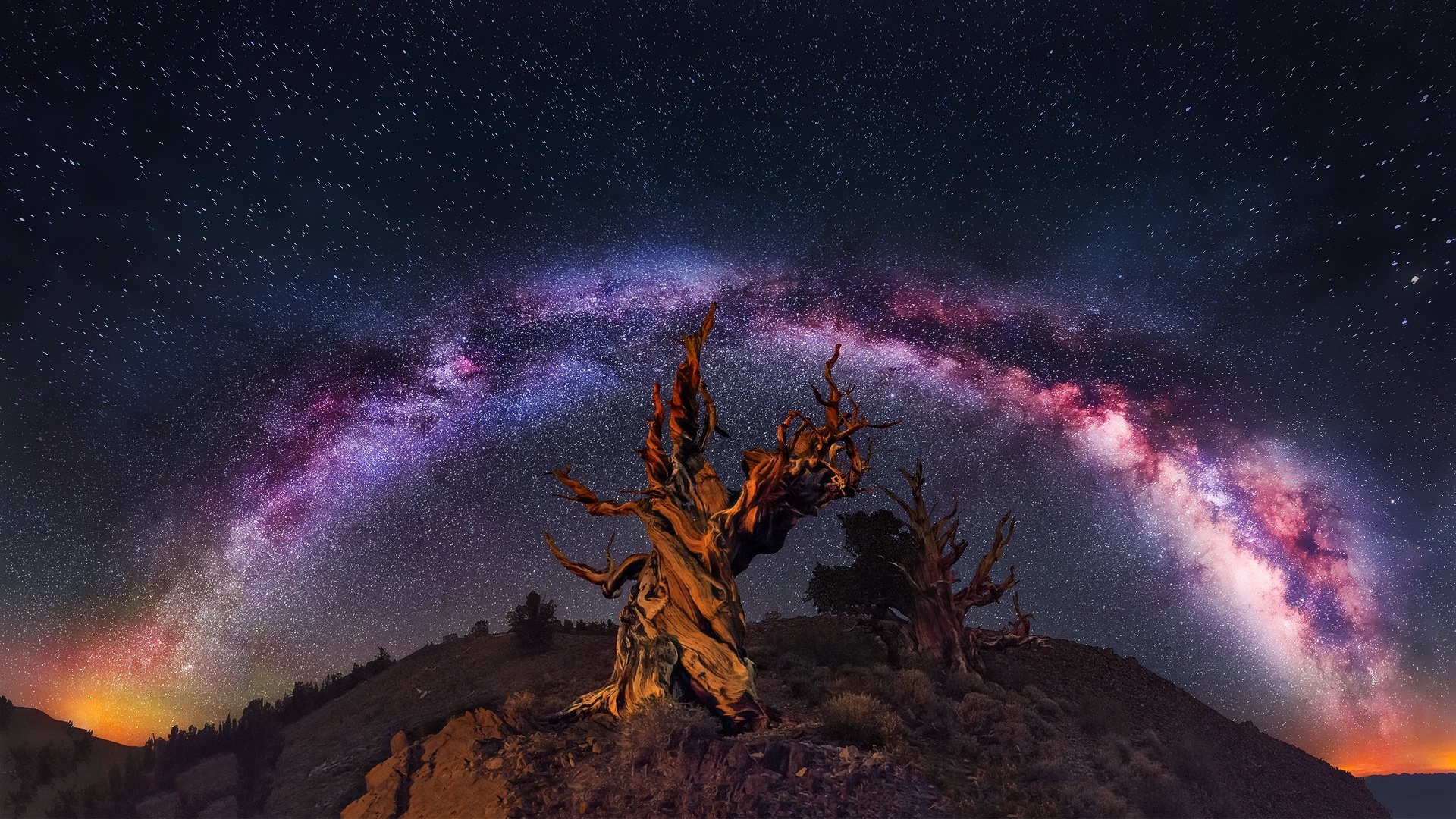 Tree Gods In Space
 Wallpapers