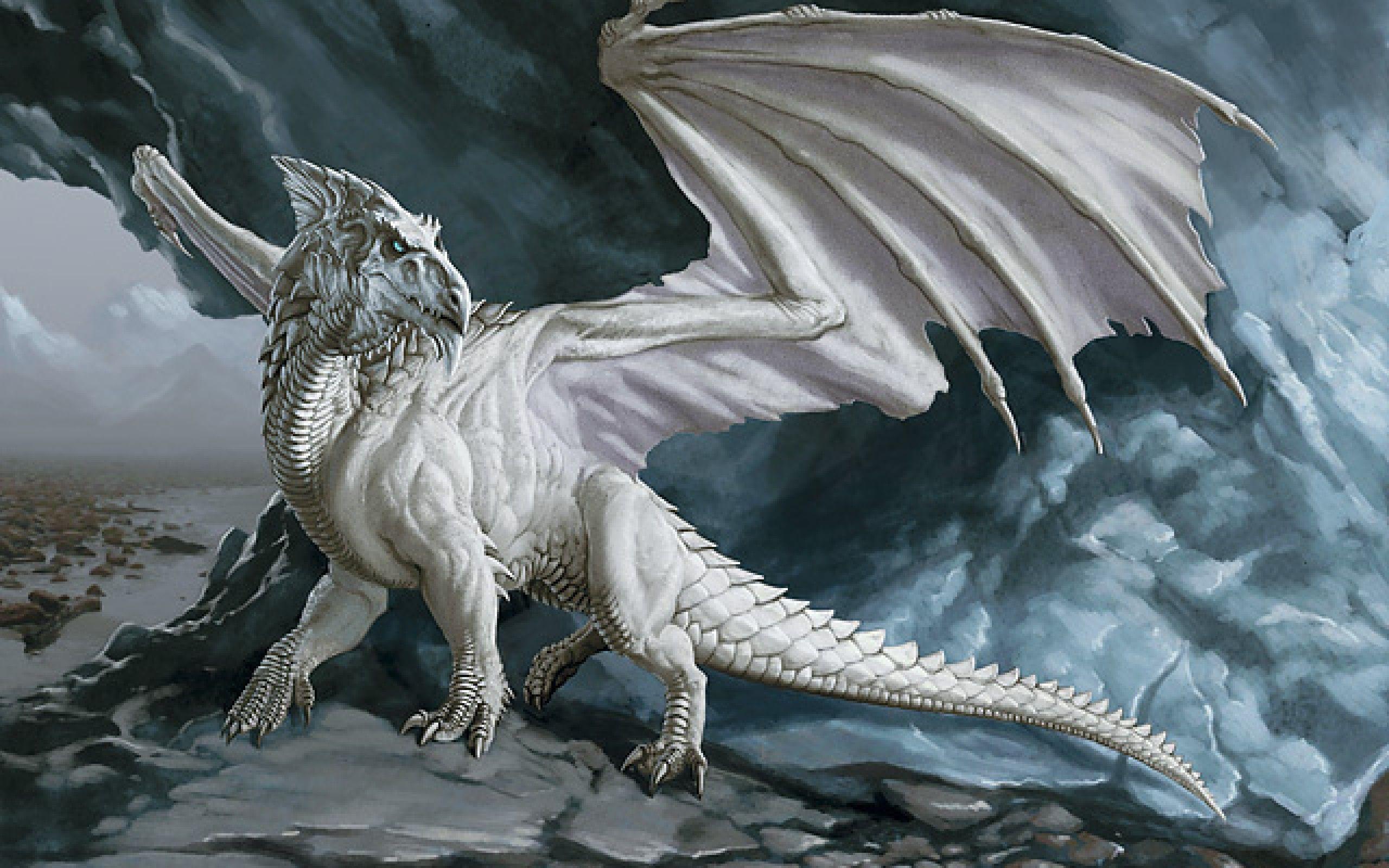 White Dragon Art
 Wallpapers