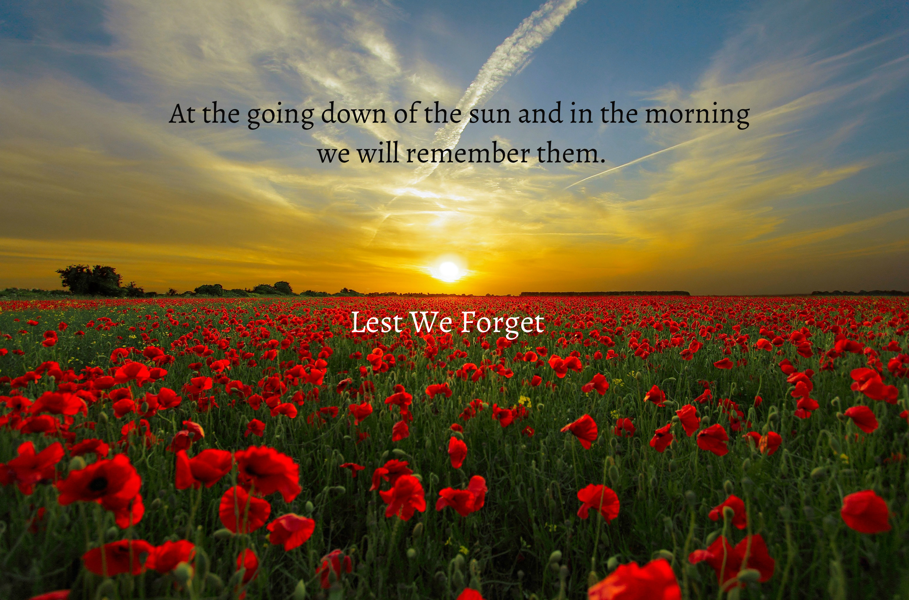 Anzac Day Wallpapers