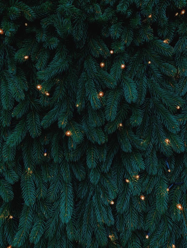 Christmas Aesthetic Green Wallpapers