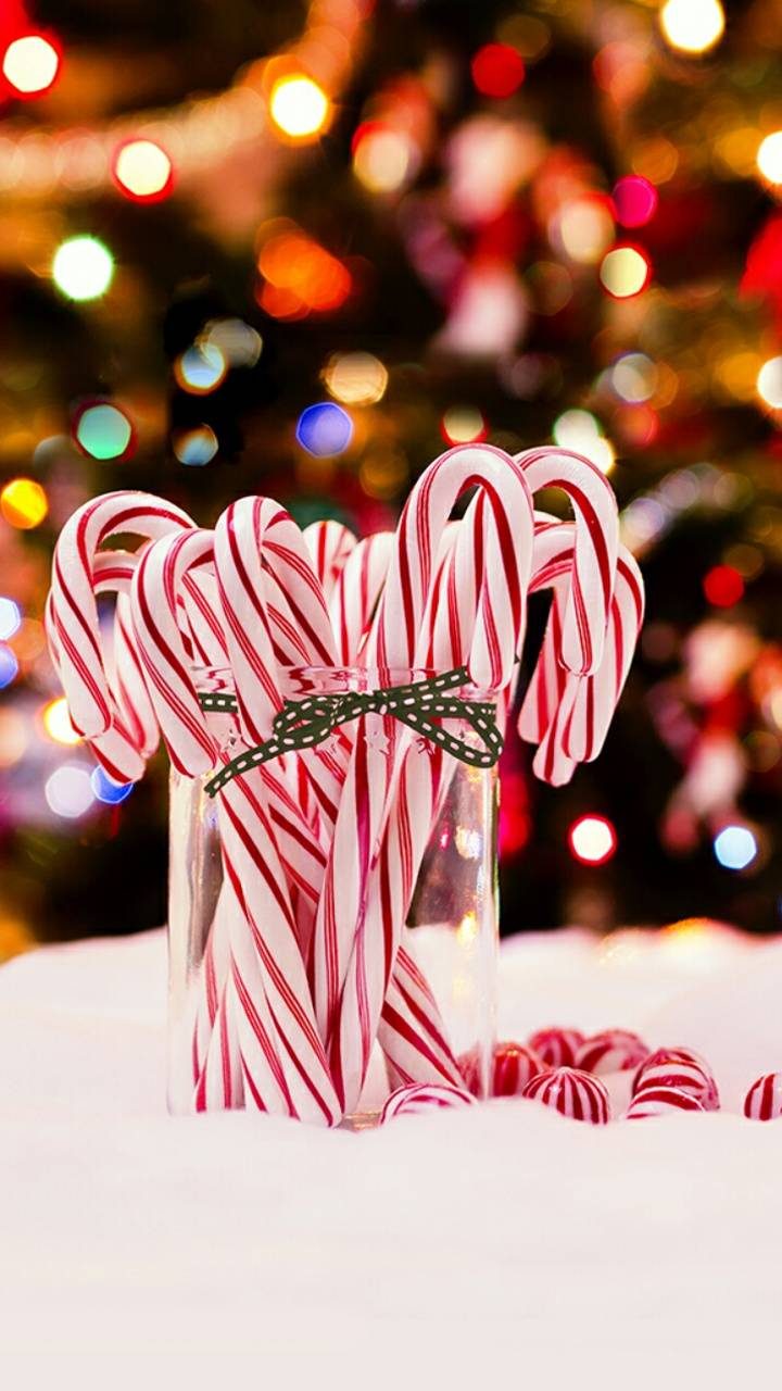 Christmas Candy Cane Wallpapers