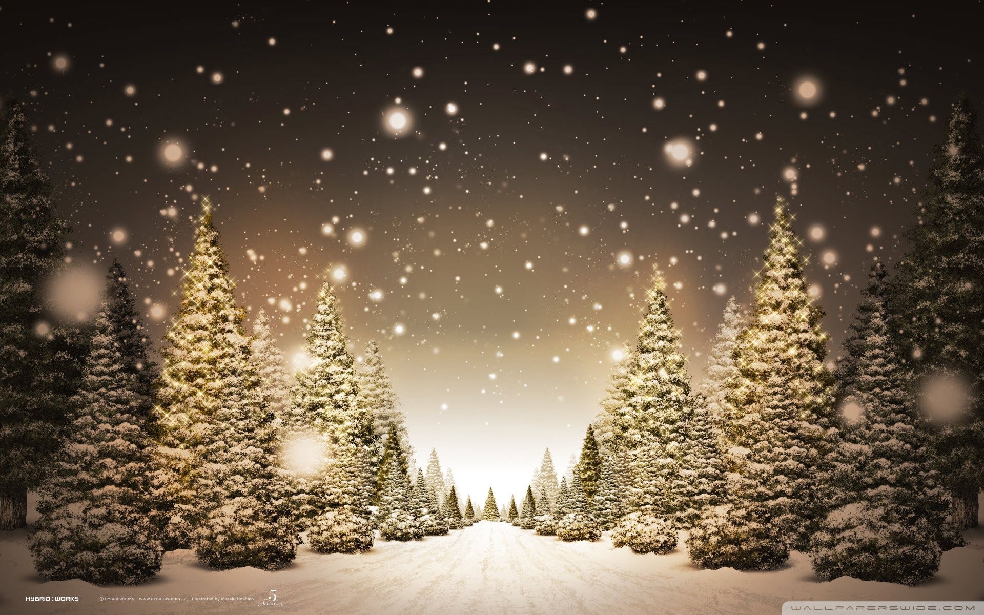 Christmas Forest Wallpapers