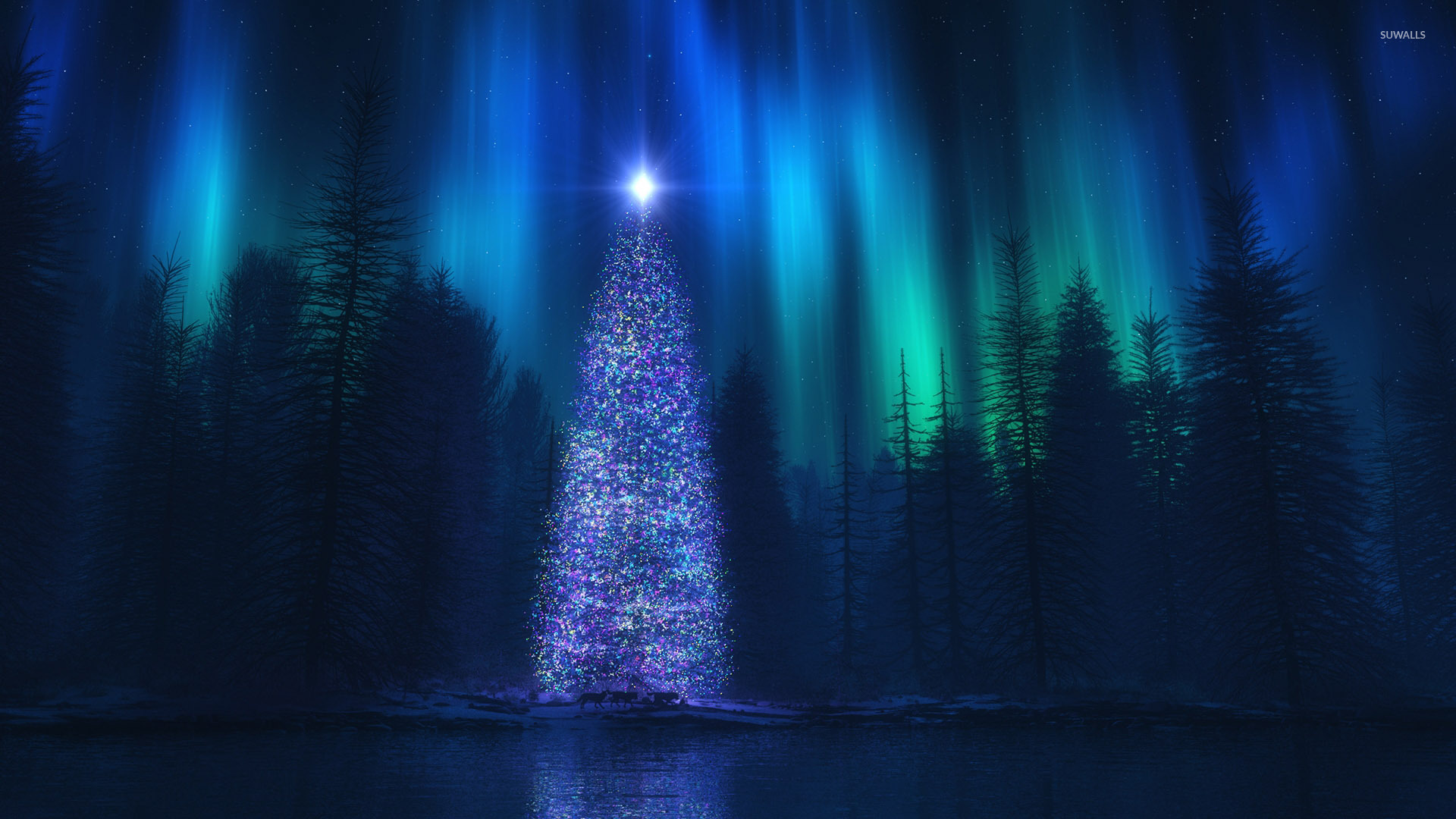 Christmas Forest Wallpapers