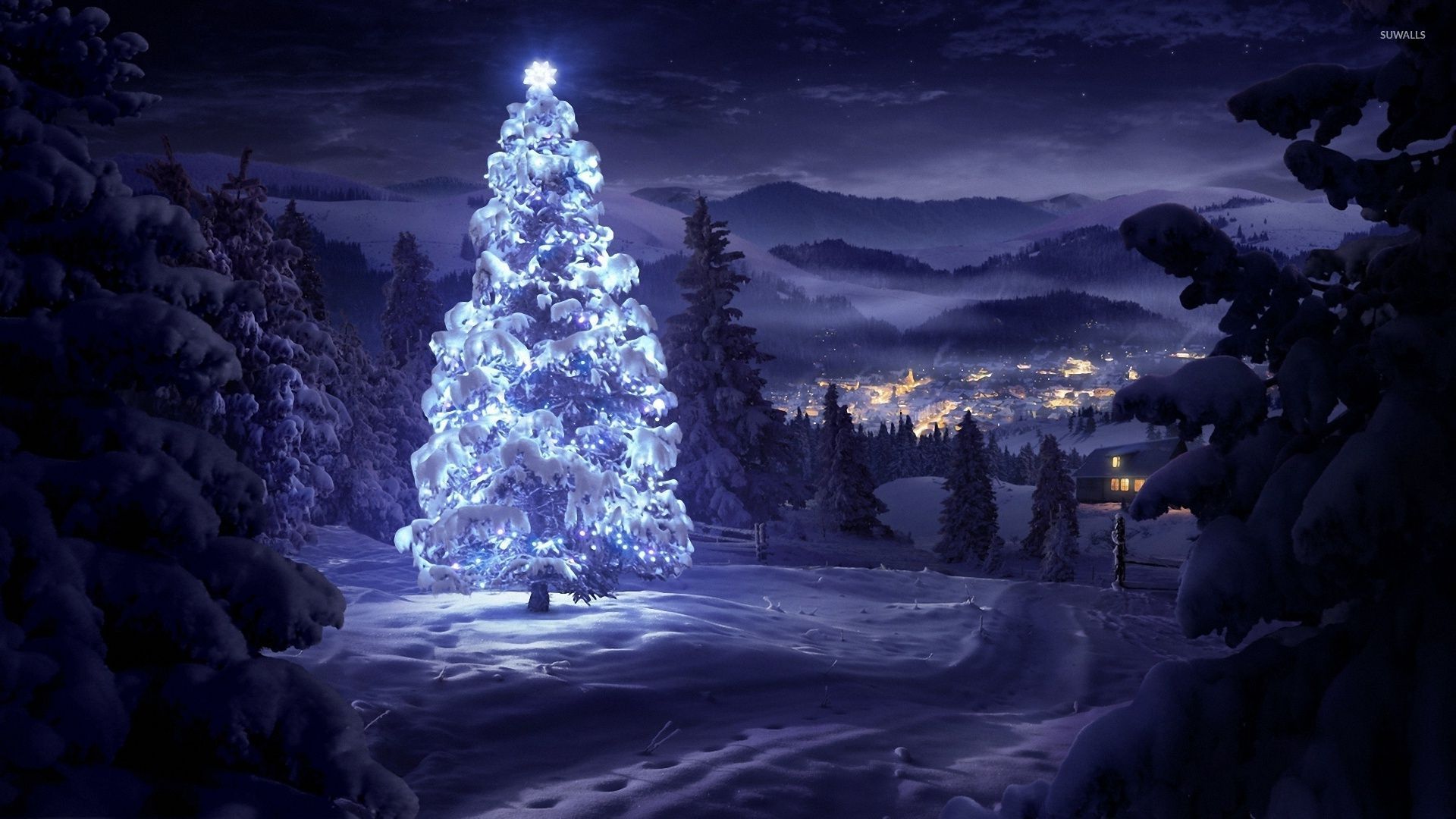 Christmas Forest Wallpapers