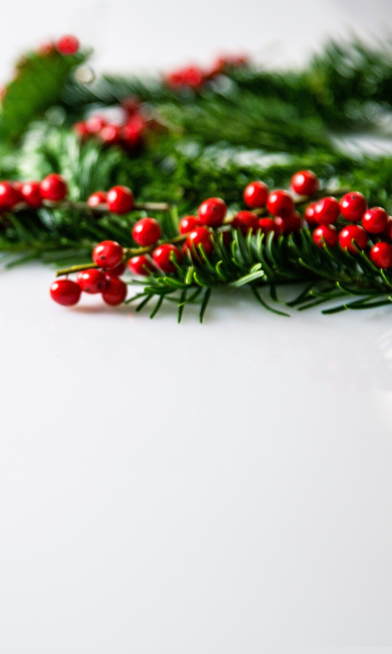 Christmas Holly Wallpapers