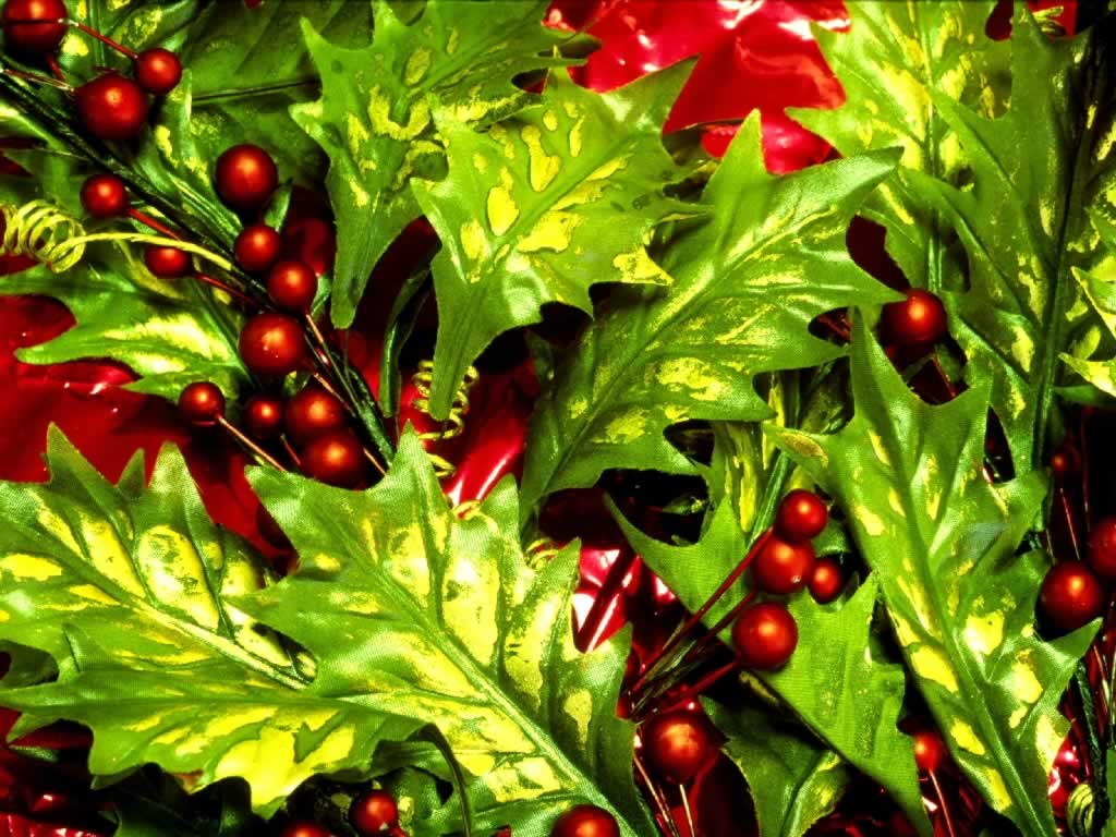 Christmas Holly Wallpapers