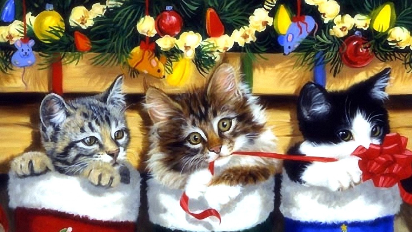 Christmas Kitten Wallpapers