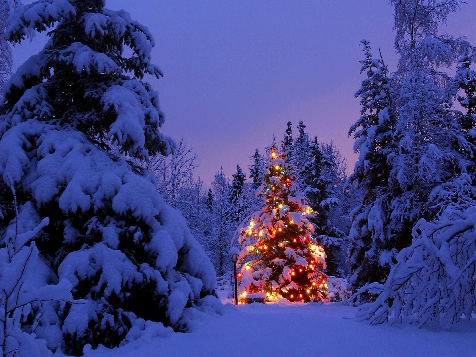 Christmas Light Snow Wallpapers