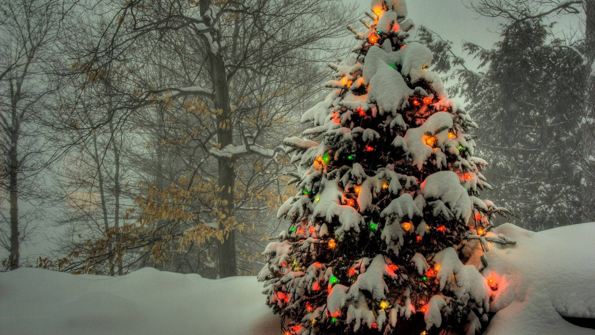 Christmas Light Snow Wallpapers