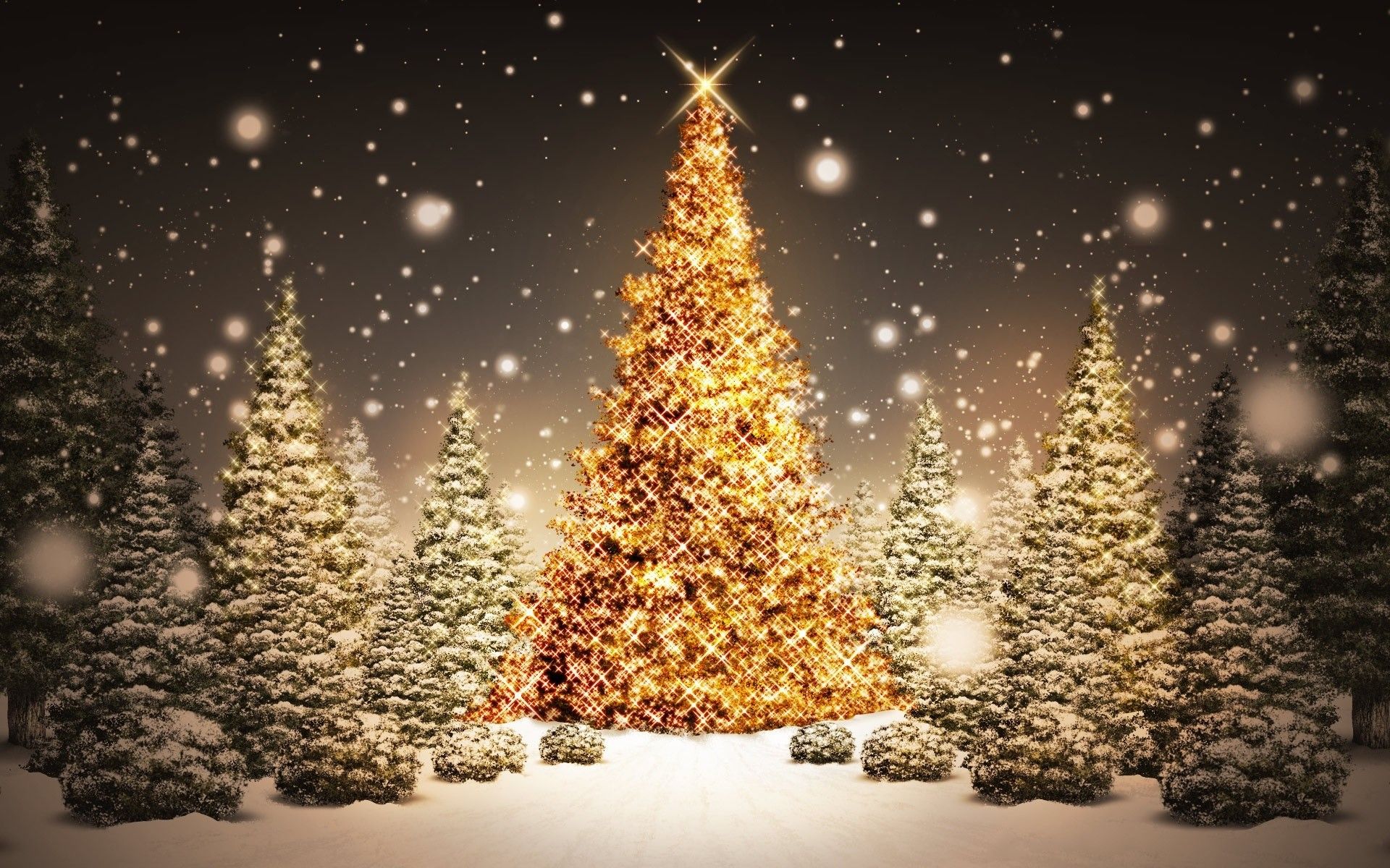 Christmas Light Snow Wallpapers