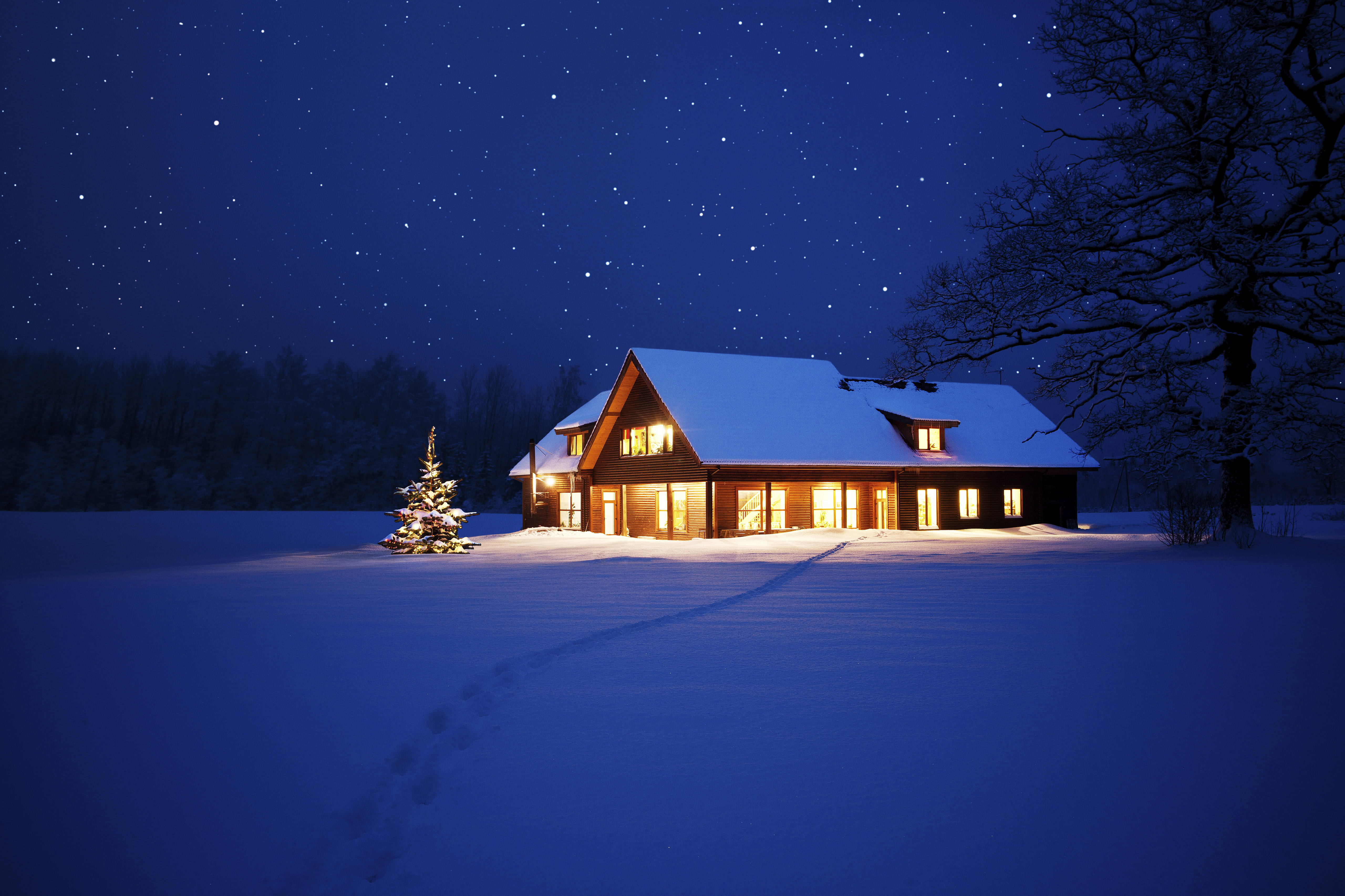 Christmas Night Wallpapers