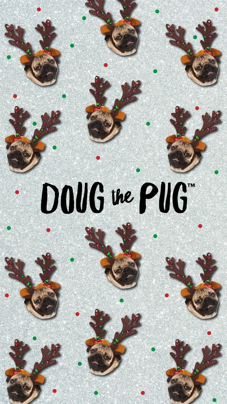 Christmas Pug Wallpapers