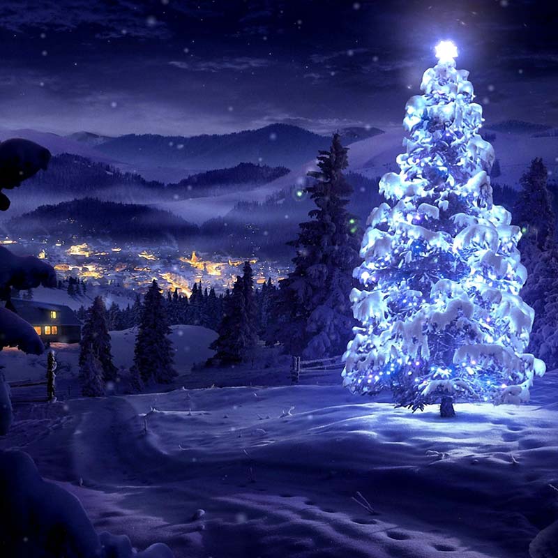 Christmas Tree Wallpapers