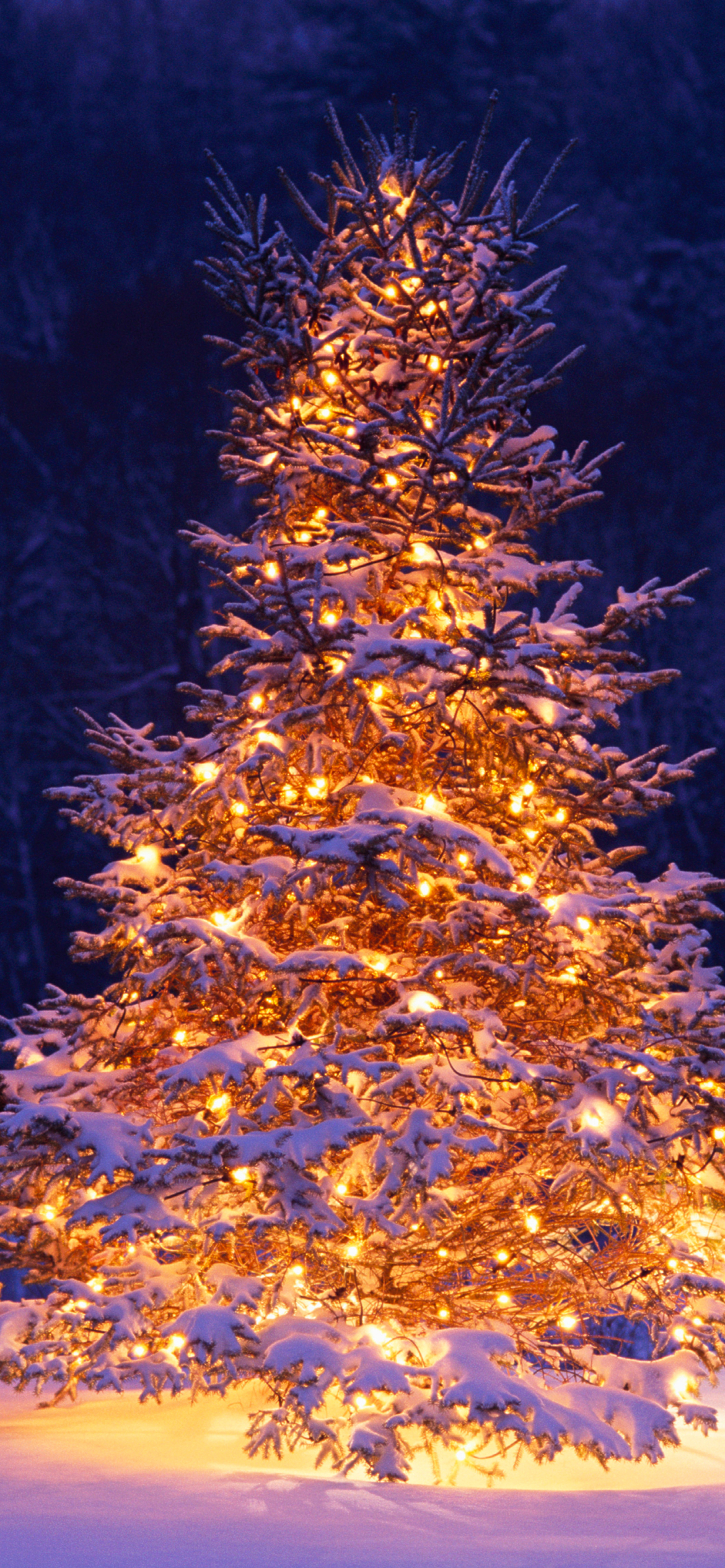 Christmas Tree Phone Wallpapers