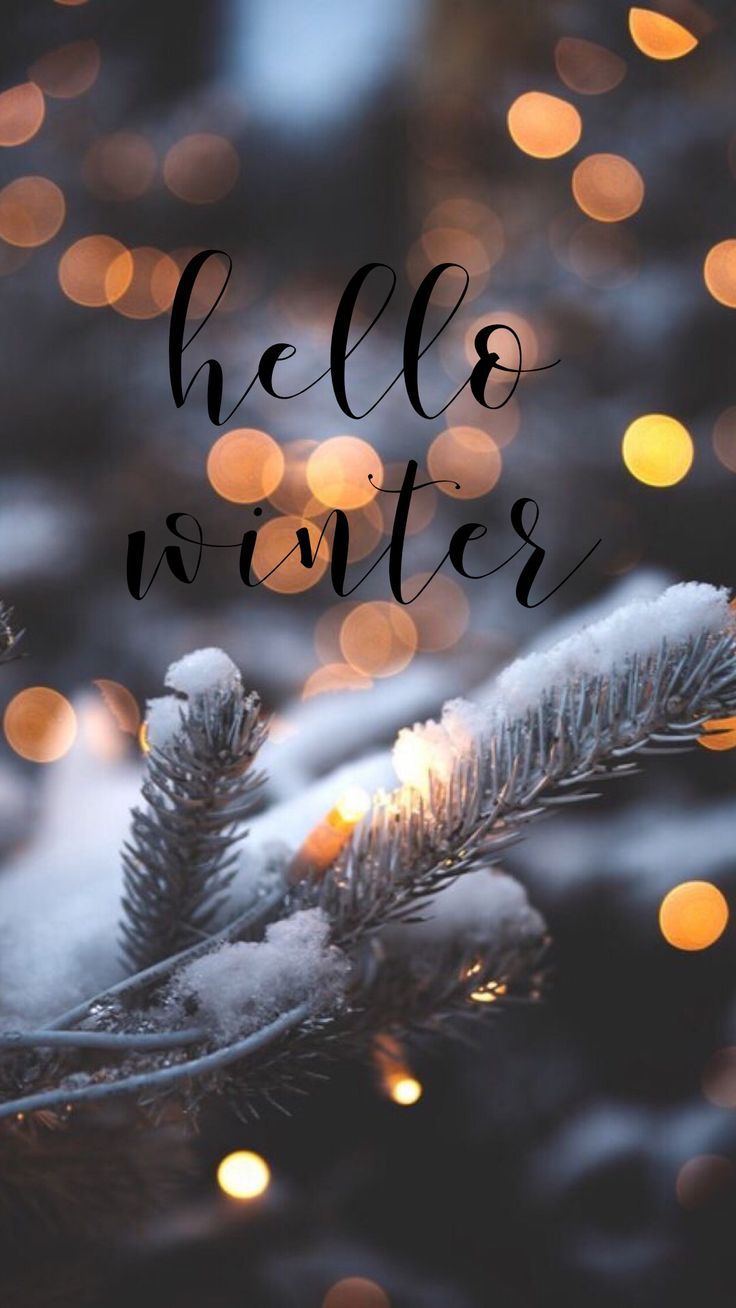 Christmas Winter Wallpapers