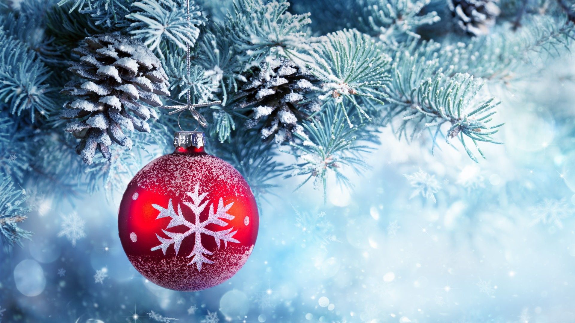 Christmas Winter Wallpapers