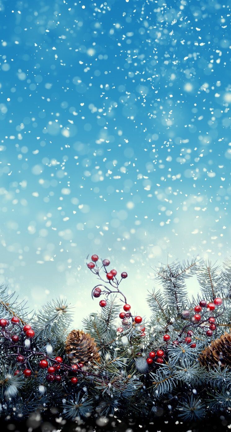 Christmas Winter Wallpapers