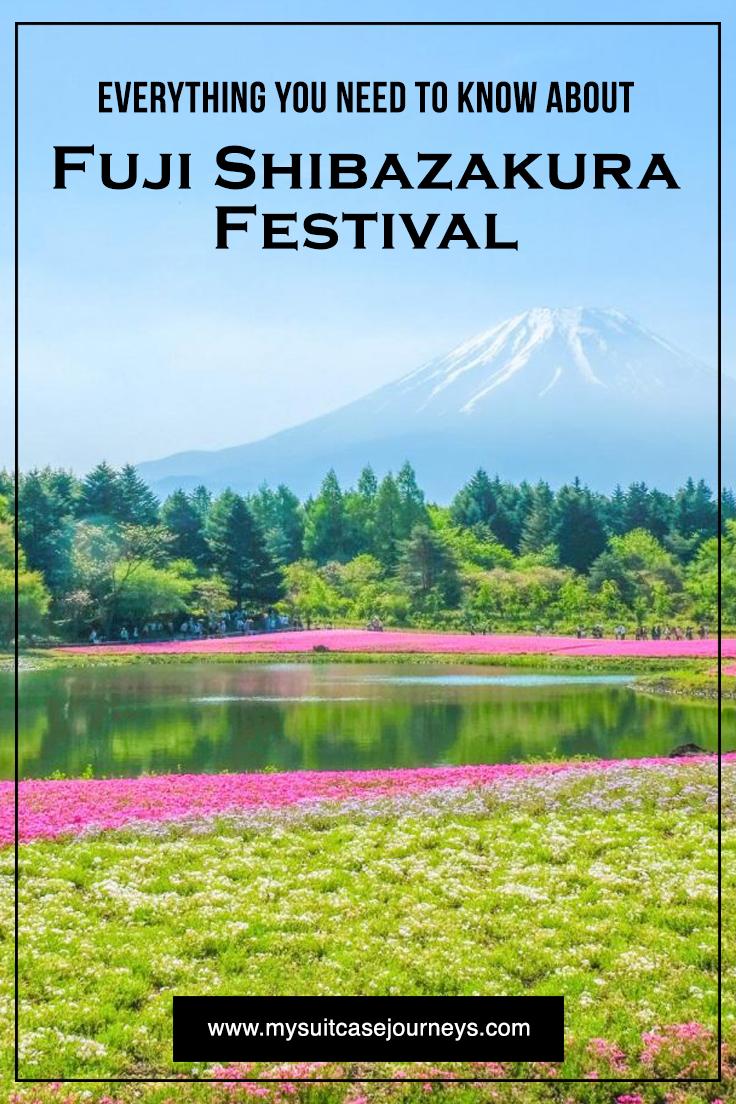 Fuji Shibazakura Festival Wallpapers