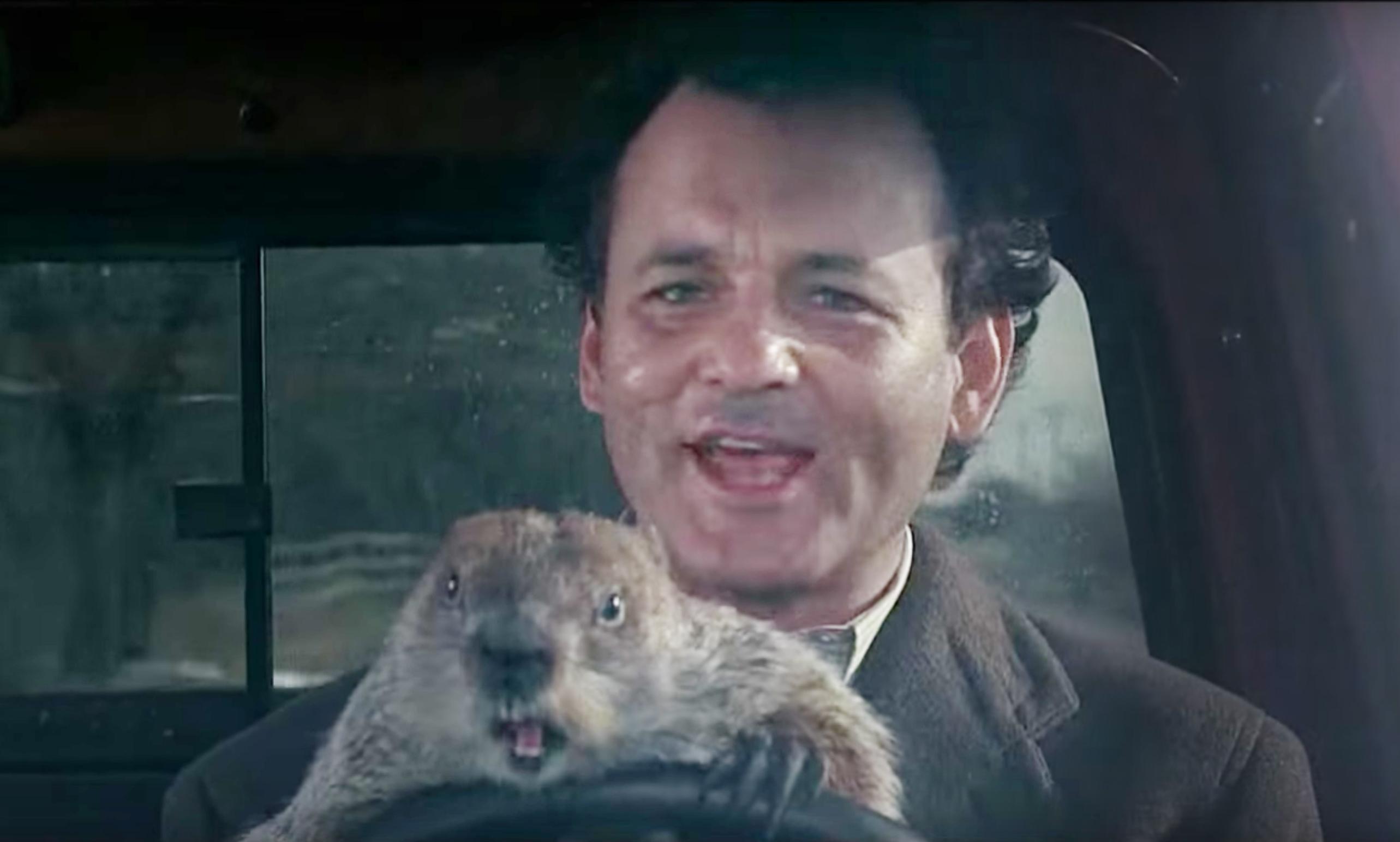 Groundhog Day Wallpapers