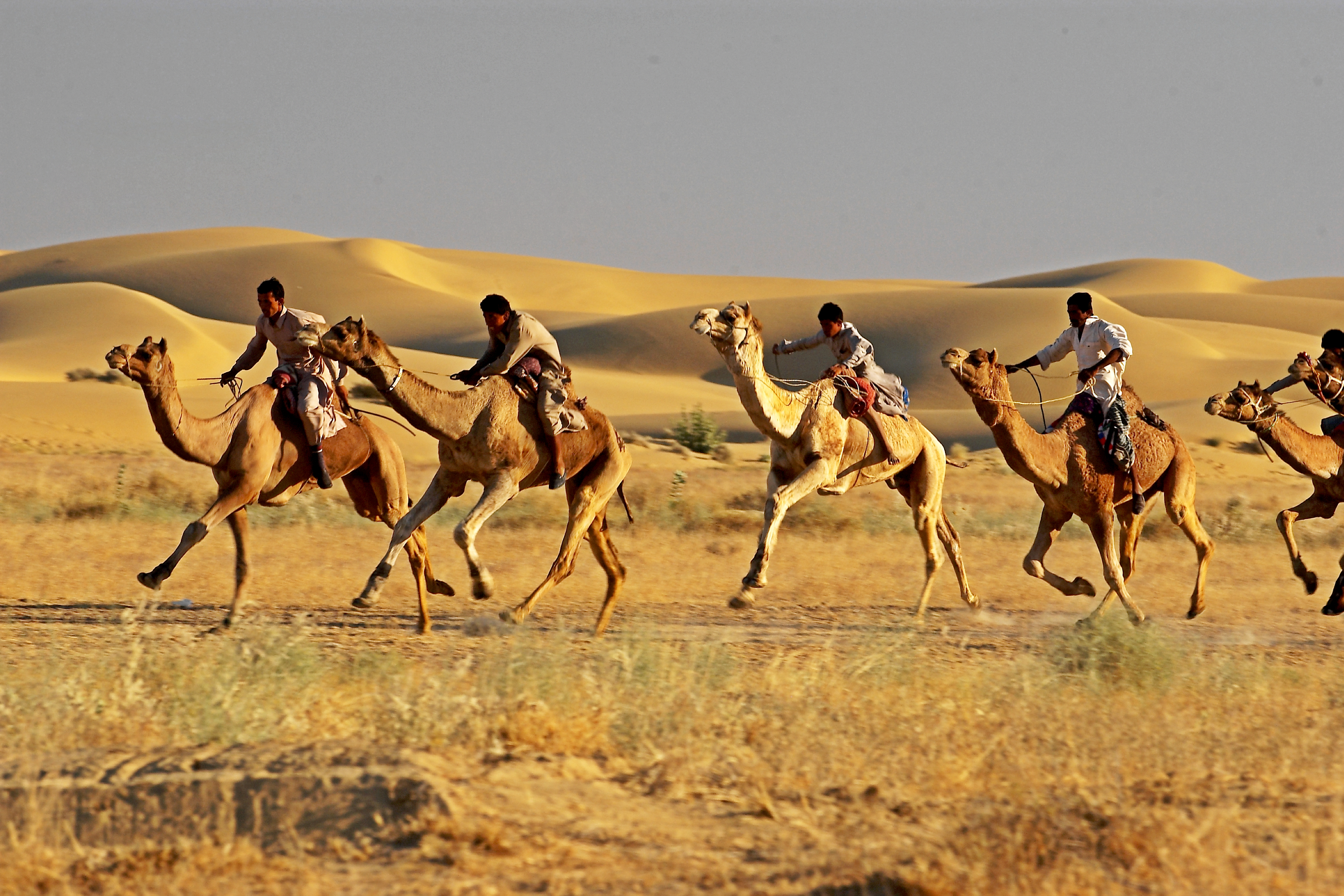 Jaisalmer Desert Festival Wallpapers