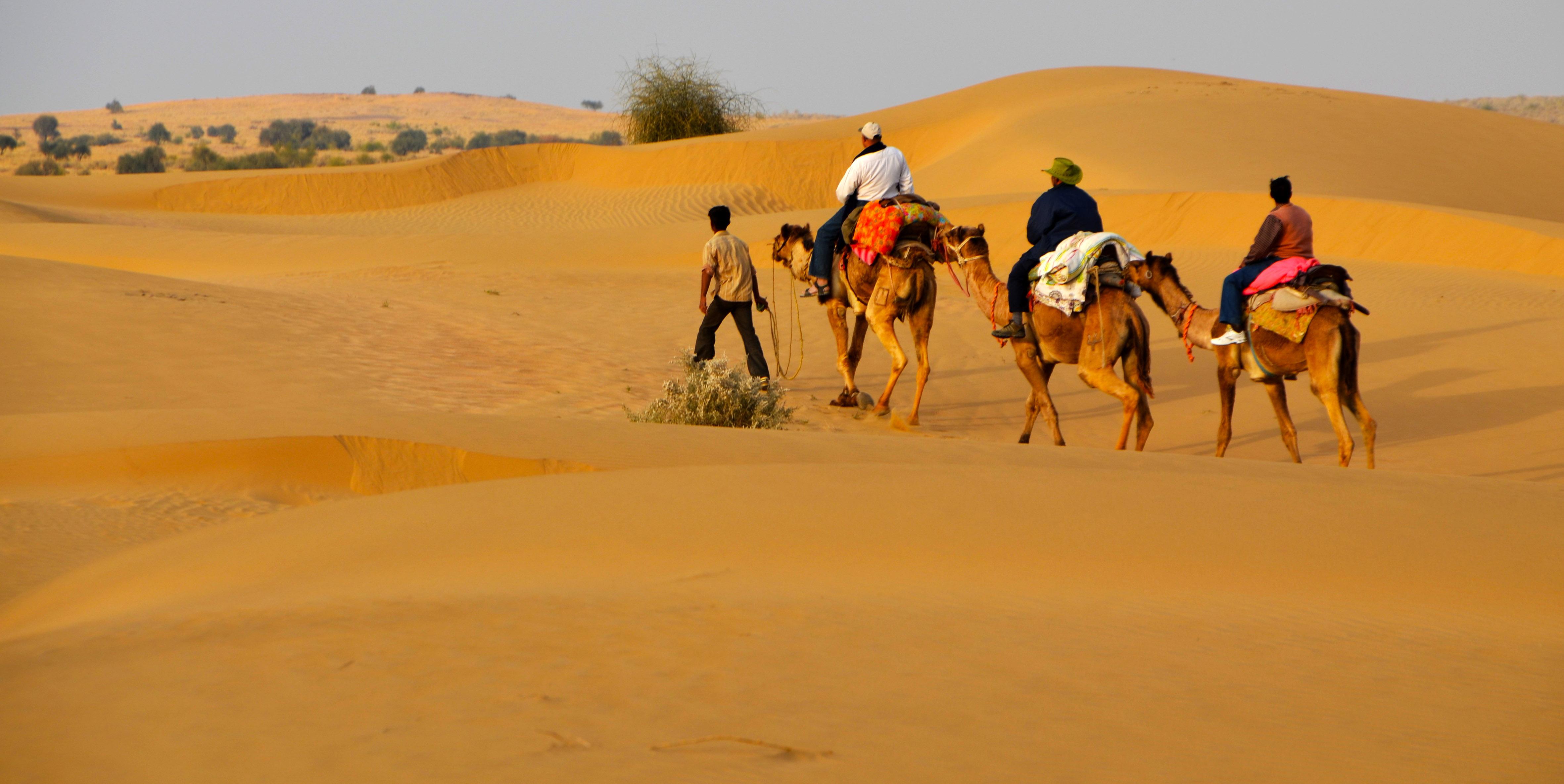 Jaisalmer Desert Festival Wallpapers