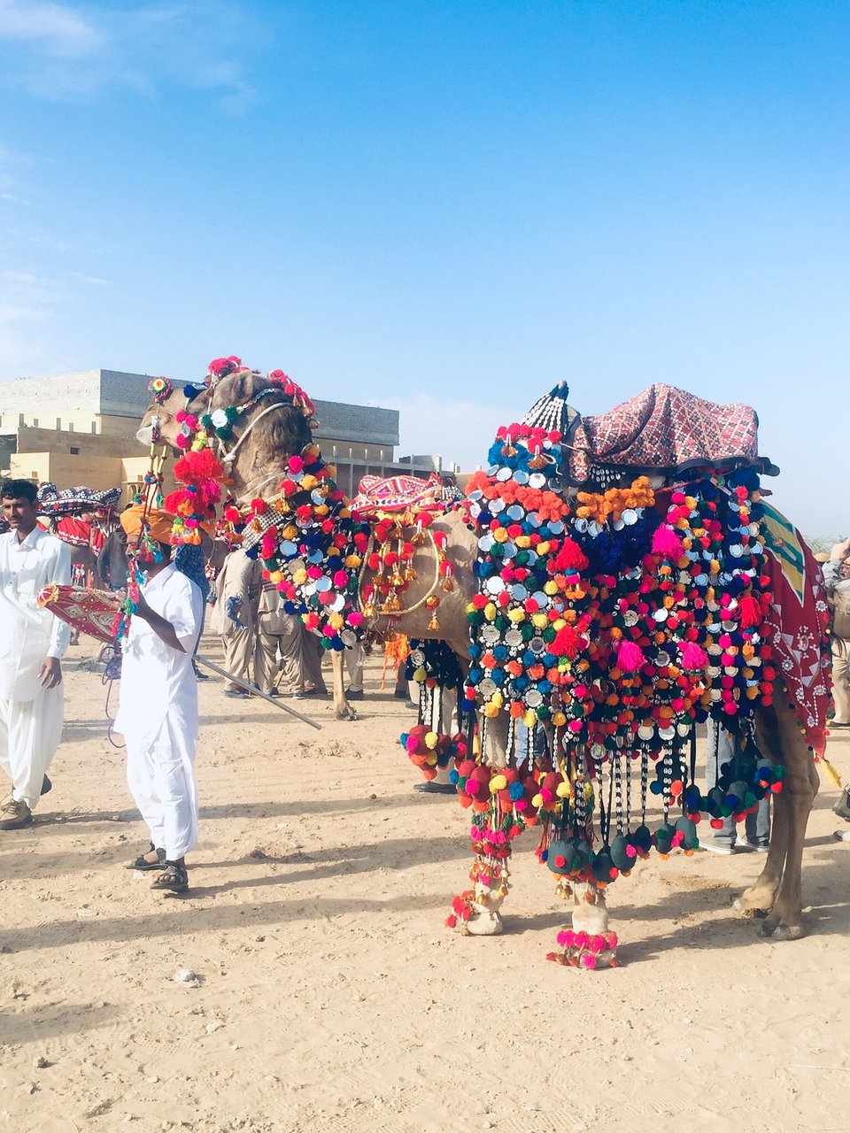 Jaisalmer Desert Festival Wallpapers