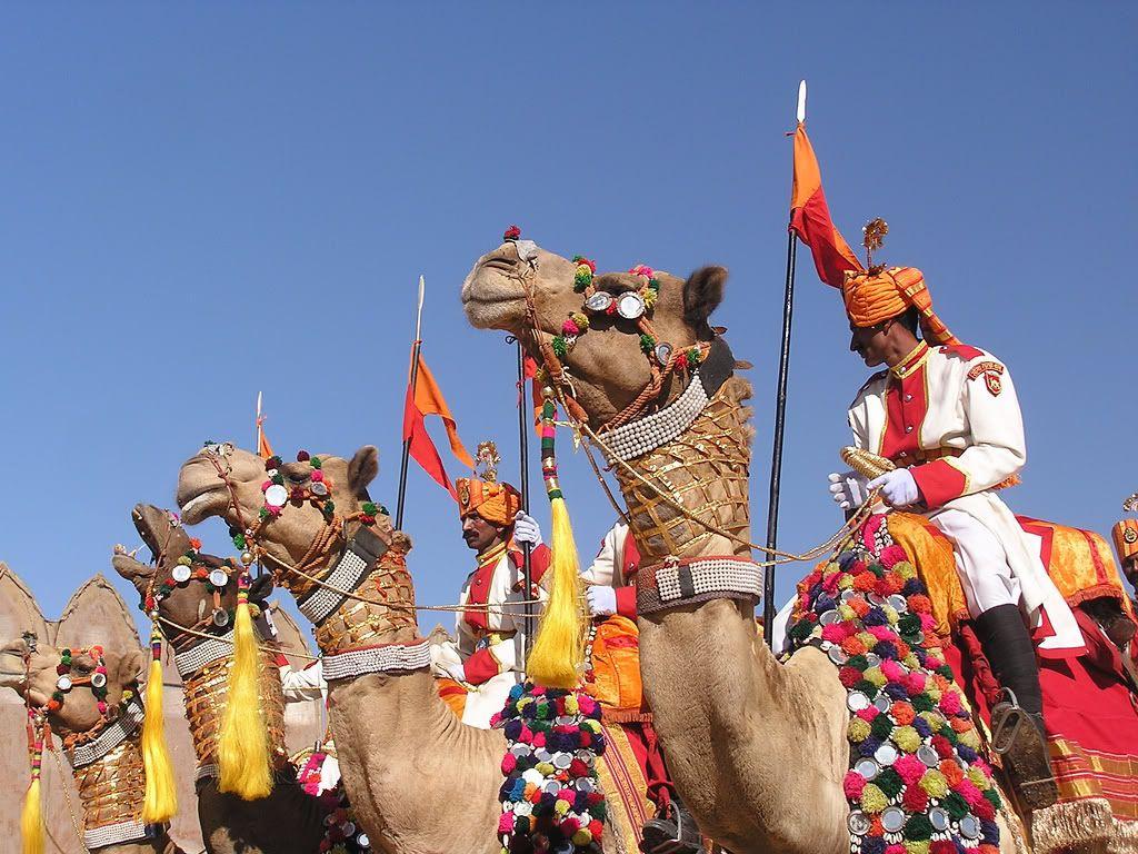 Jaisalmer Desert Festival Wallpapers