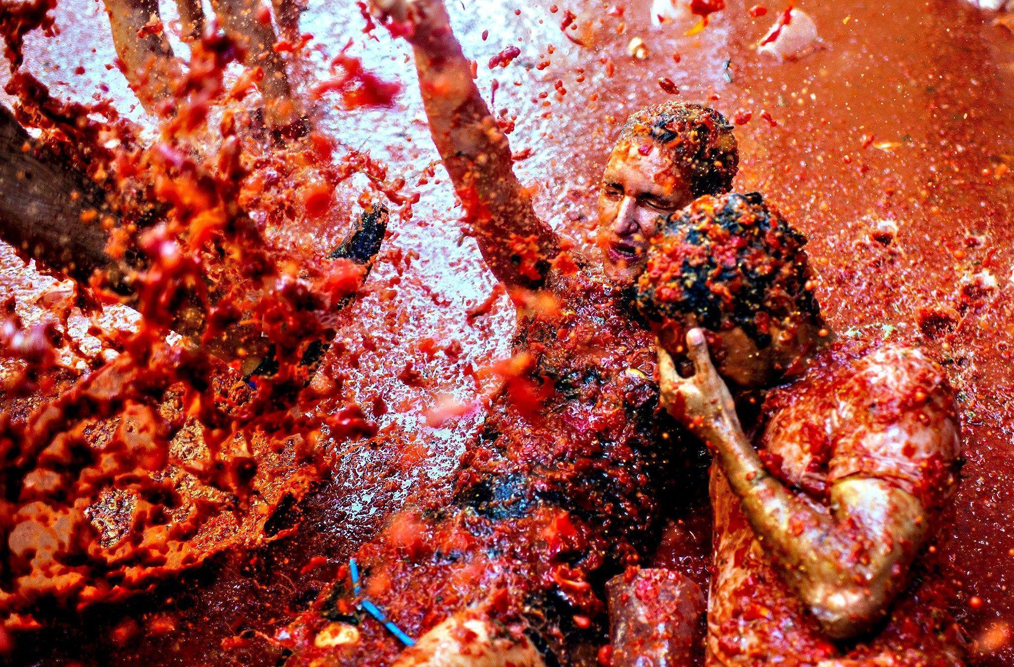 La Tomatina Wallpapers