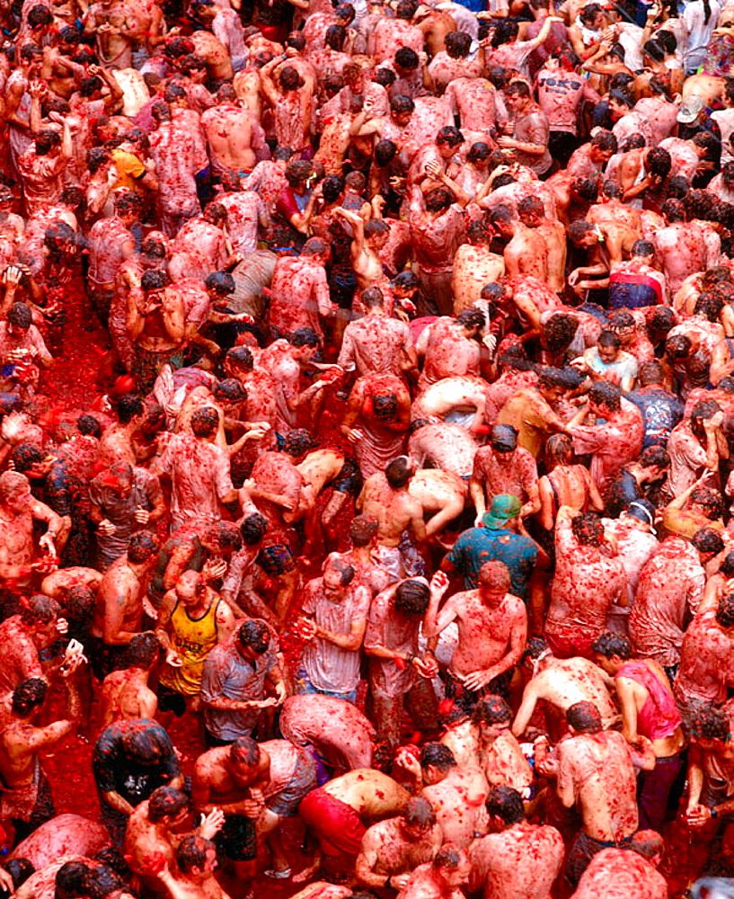 La Tomatina Wallpapers