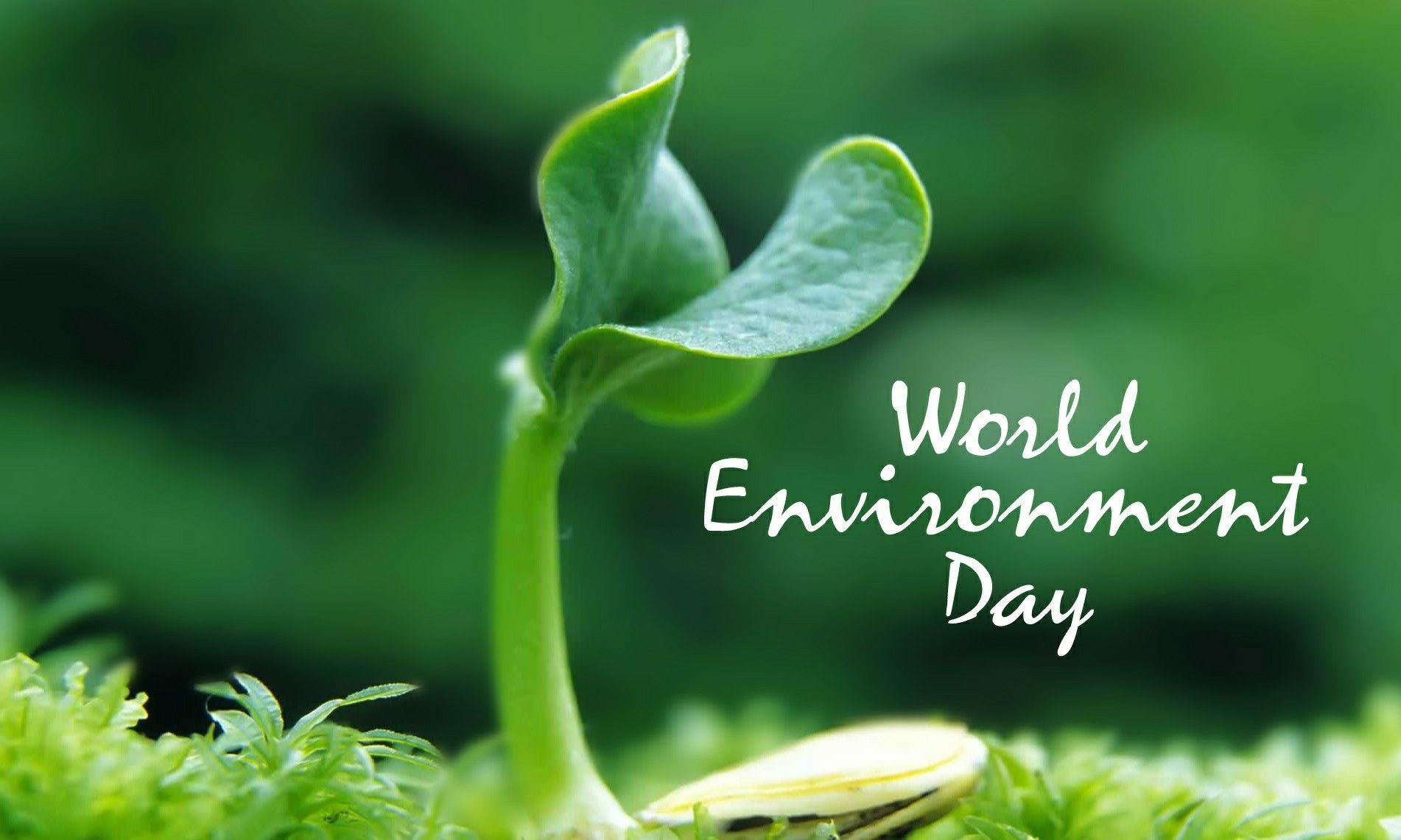 World Environment Day Wallpapers