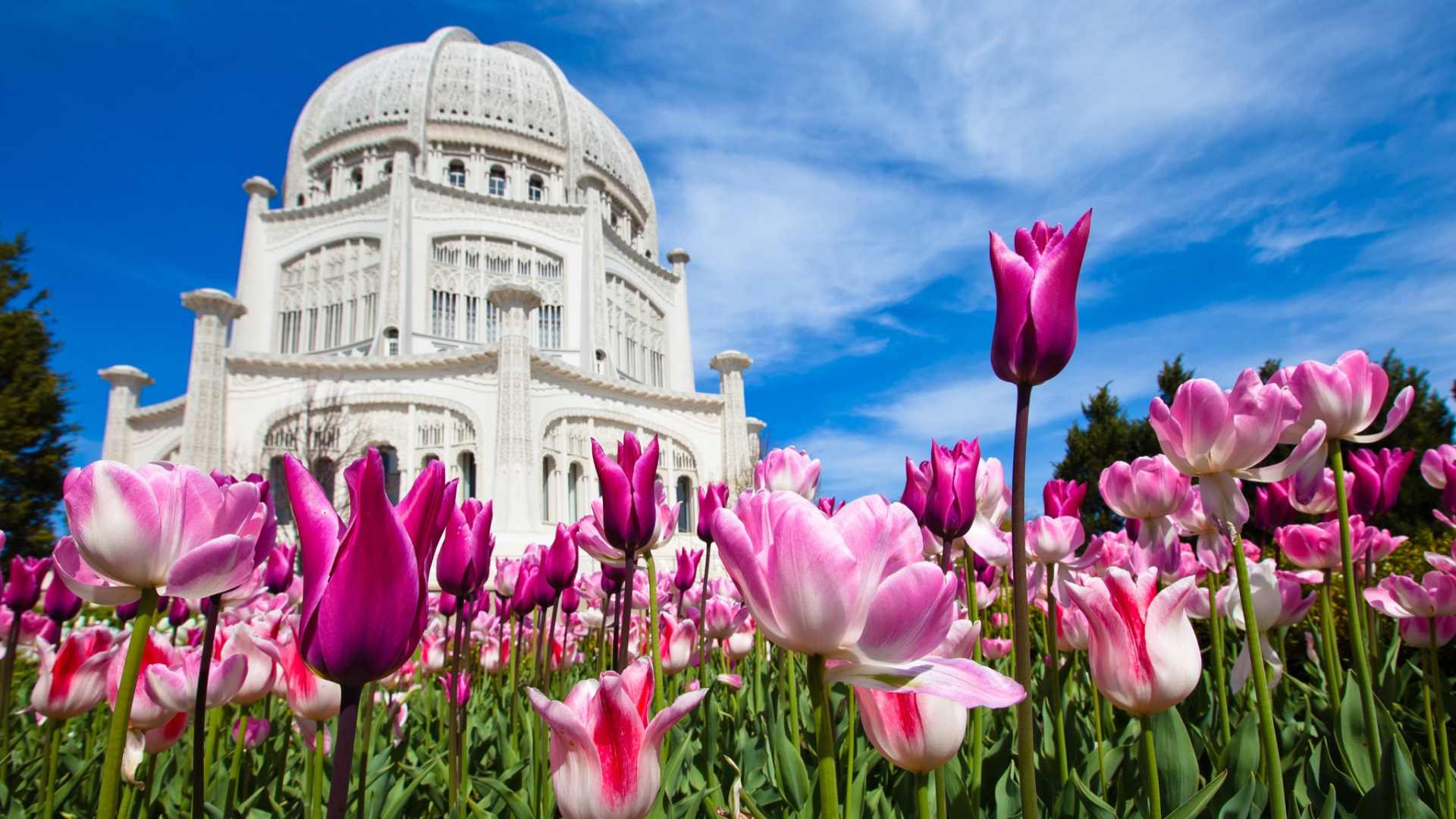 Baha'I Temple Wallpapers