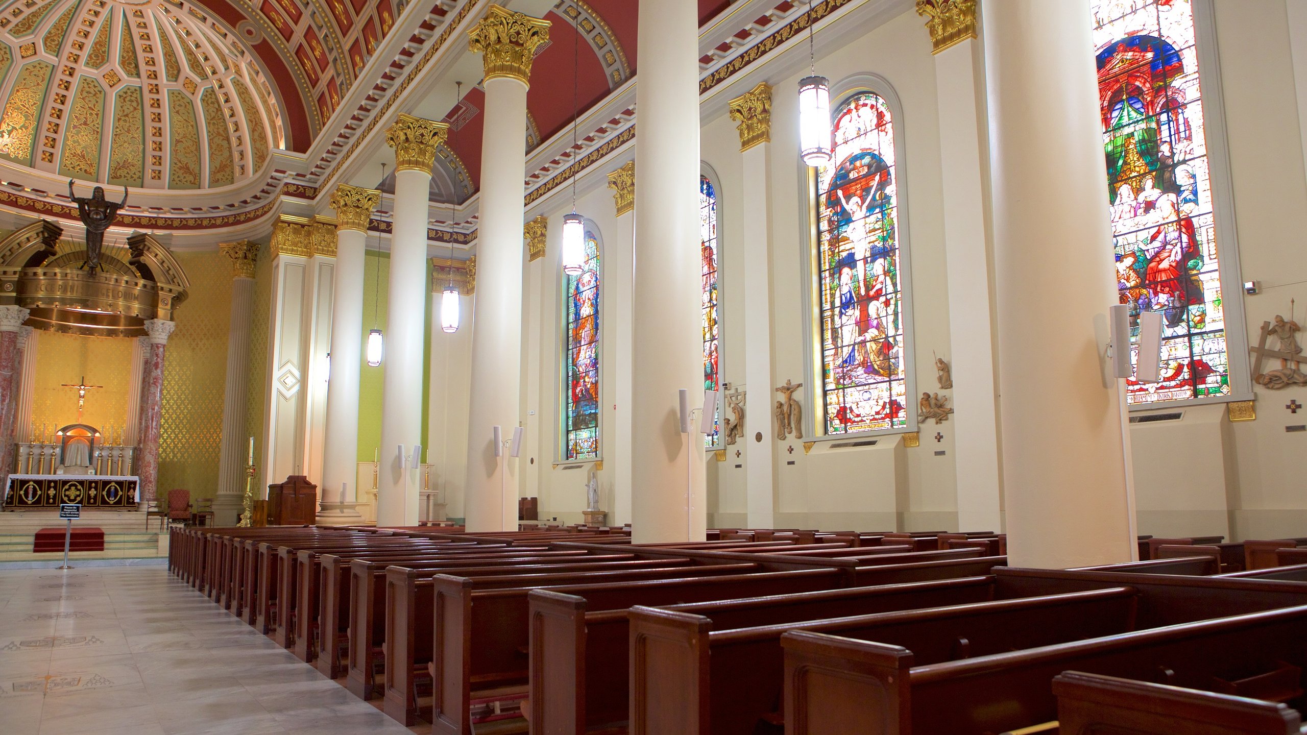 Cathedral Of The Immaculate Conception Wallpapers