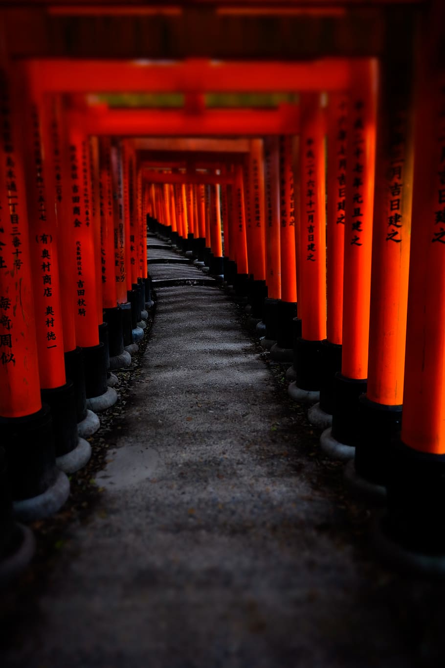 Fushimi Inari-Taisha Wallpapers