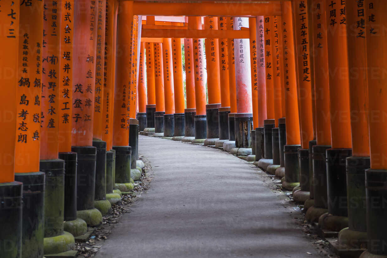 Fushimi Inari-Taisha Wallpapers