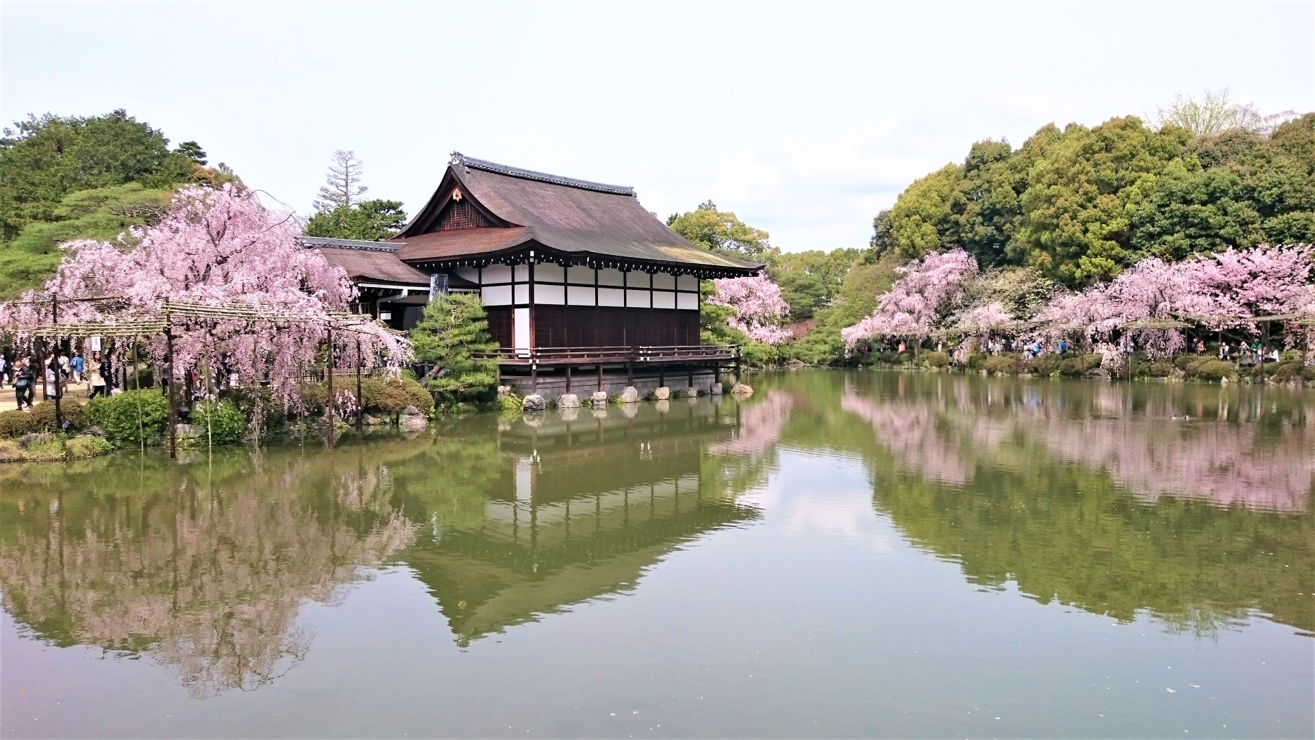 Heian Shrine Wallpapers