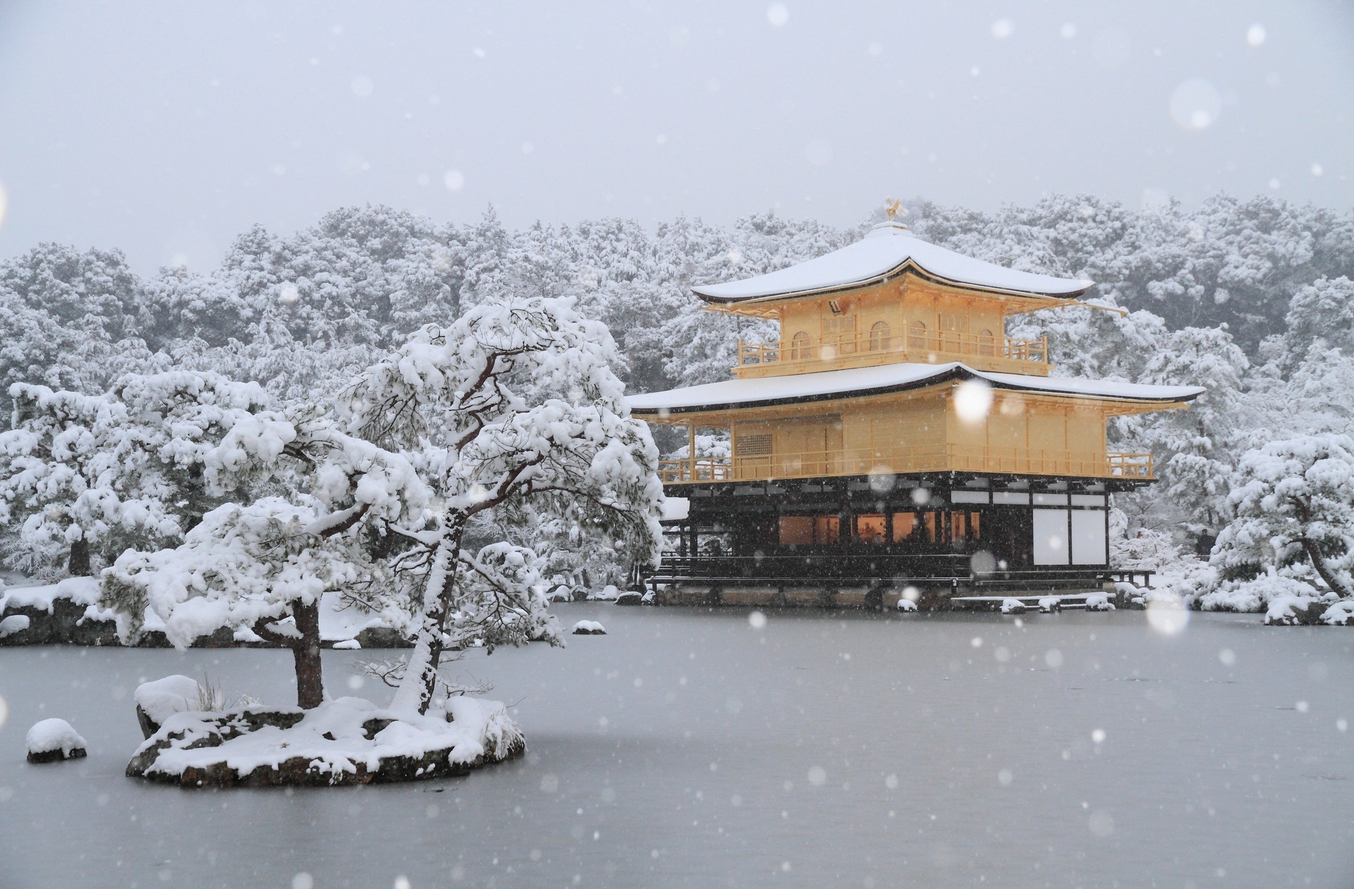 Kinkaku-Ji Wallpapers